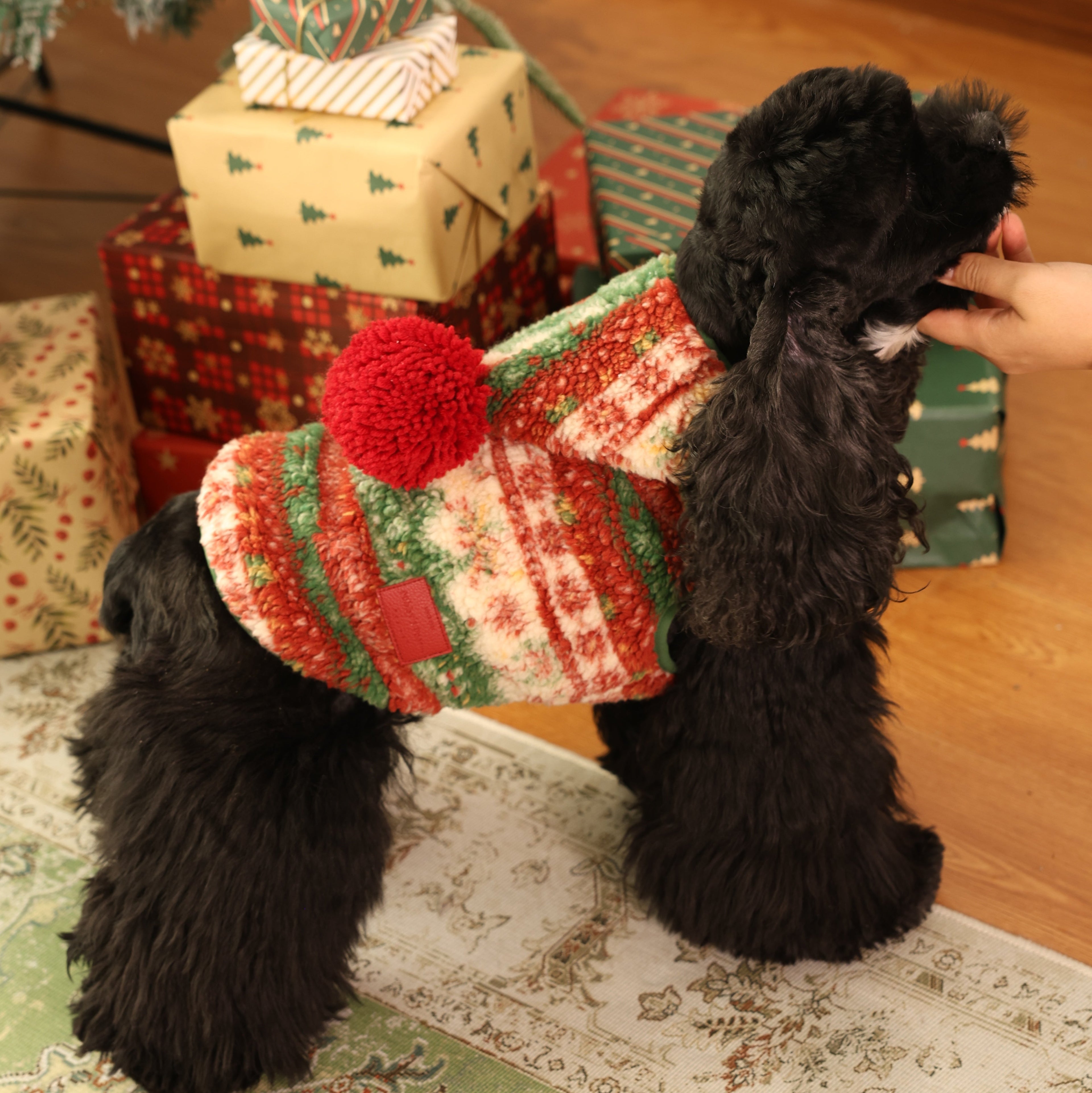 Holiday Wear
