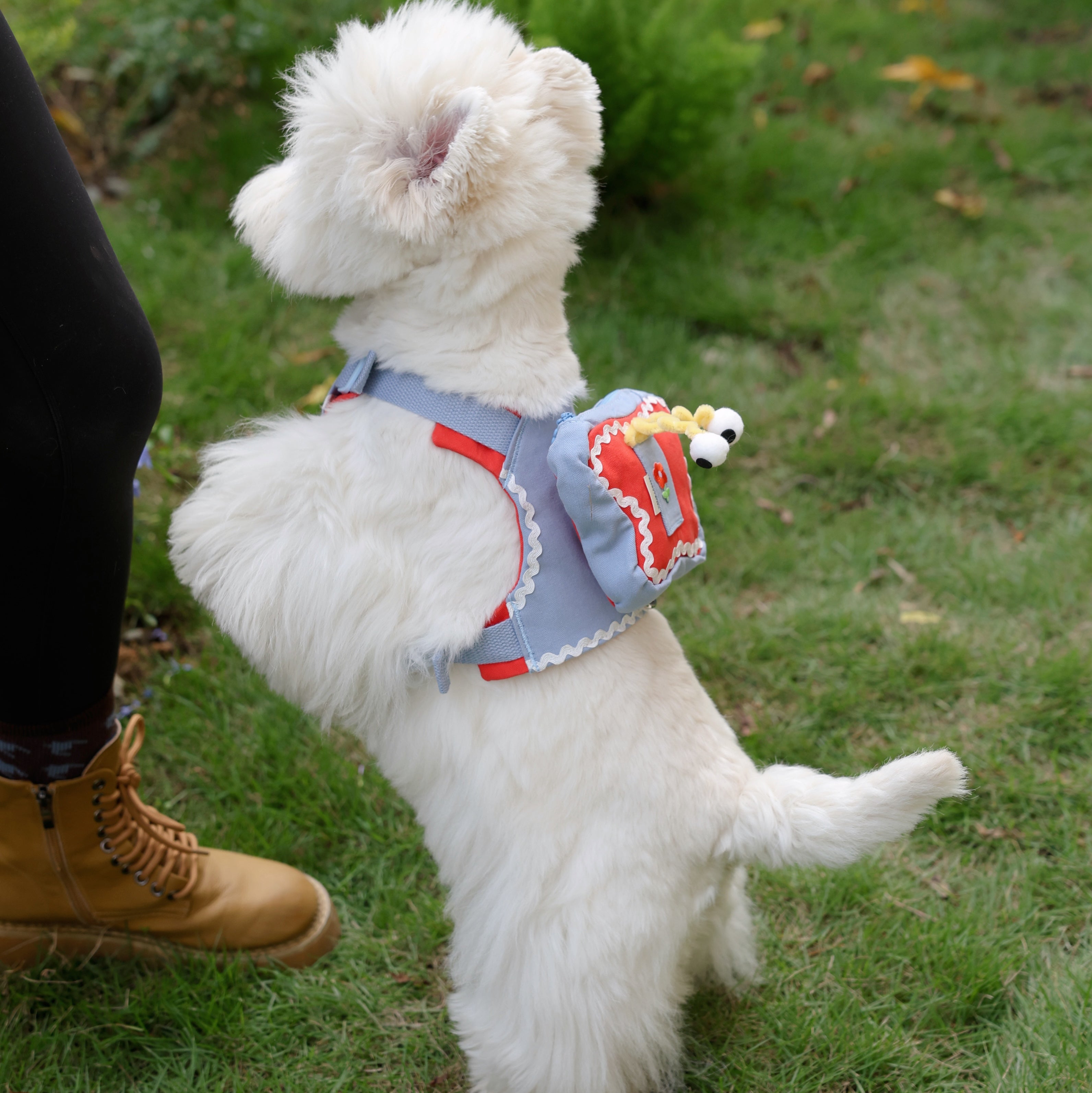 Adjustable Butterfly Pet Harness with Mini Backpack