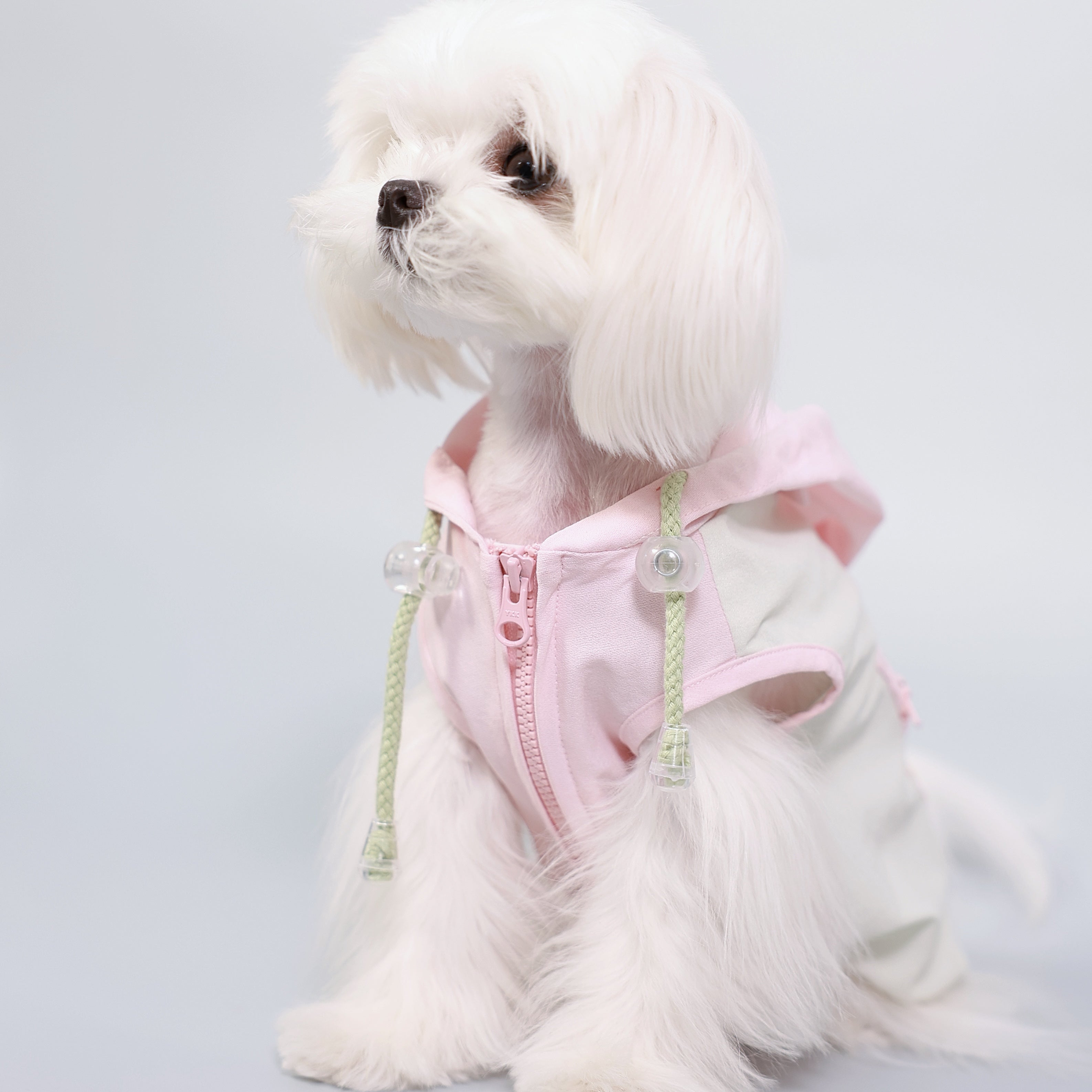 Dopamine Outdoor Sun-Protection Pet Hoodie