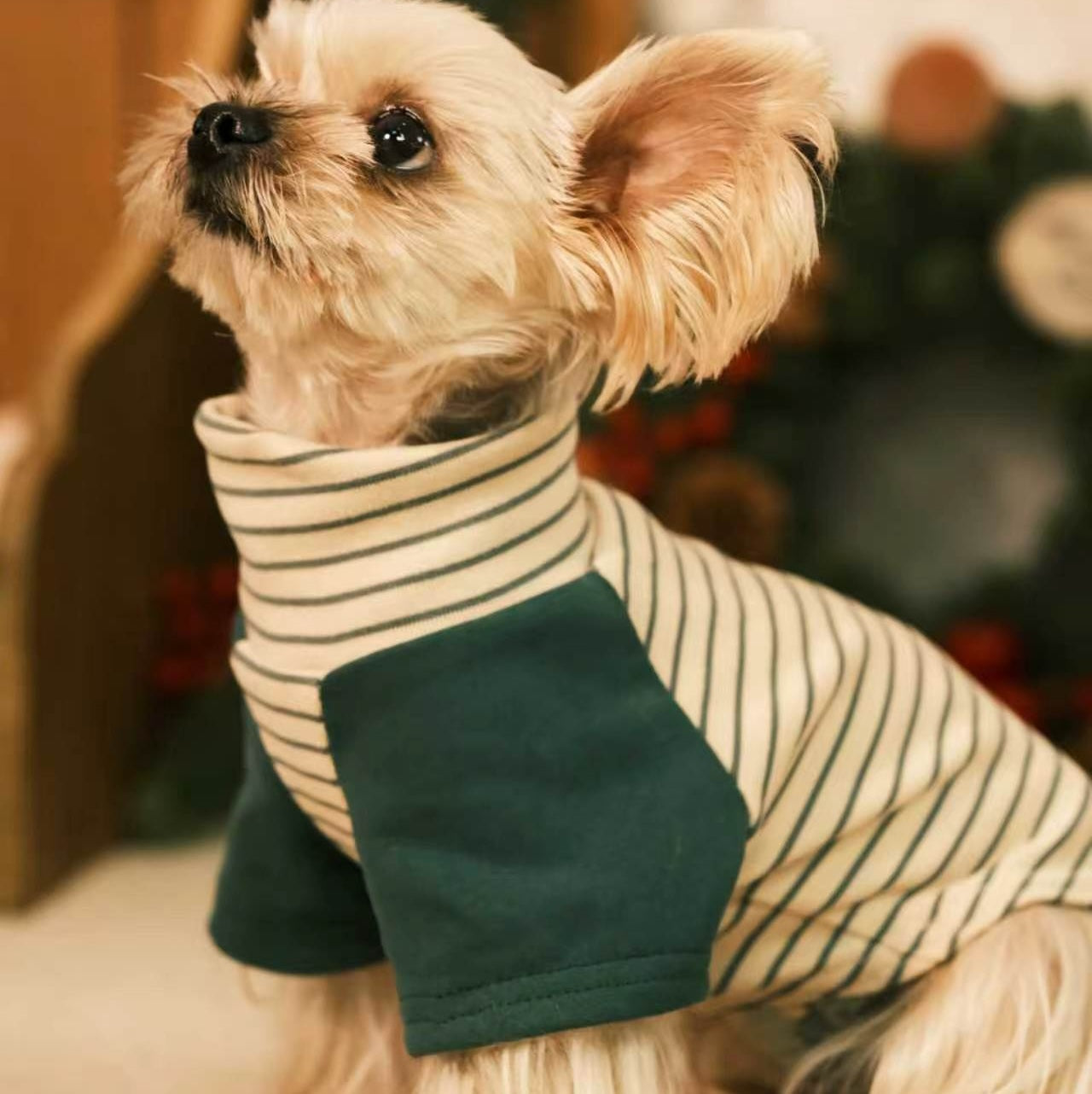 Striped Raglan Sleeve Pet Base Layer Sweatshirt