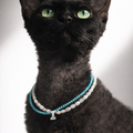 Kenting Sunny Day Custom Letter Pet Necklace