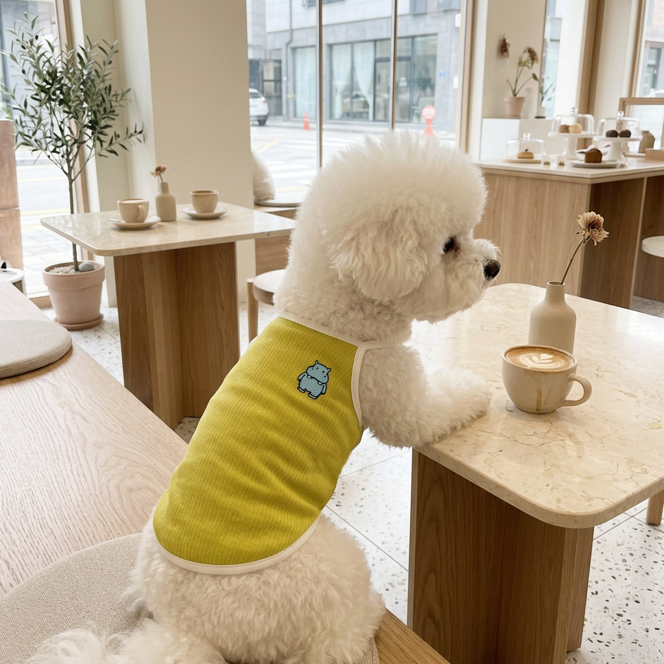 Recess Time Cooling Ice-Silk Pet Onesie