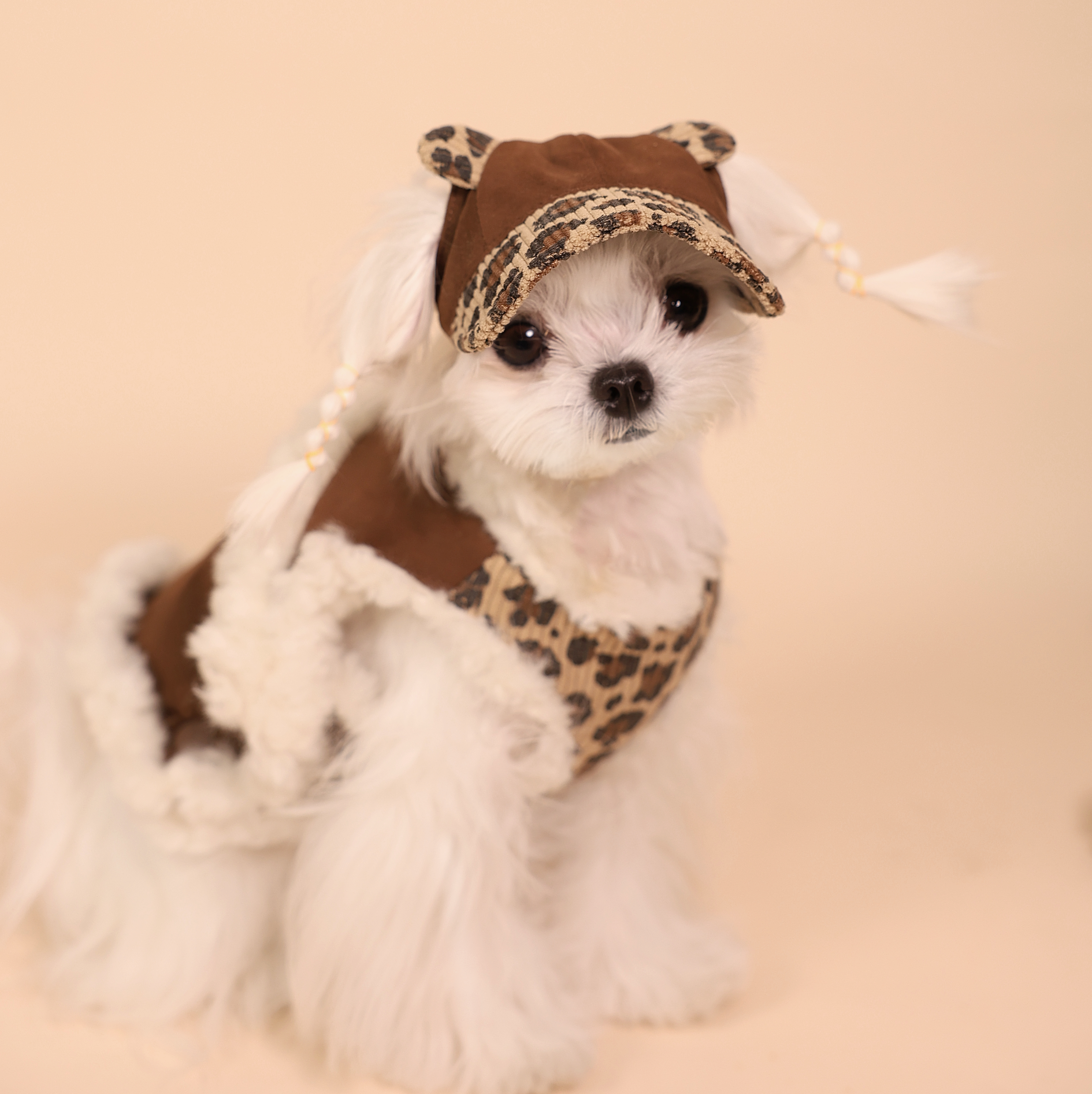 Leopard Sweetheart Wool-Blend Pet Vest with Leash Ring