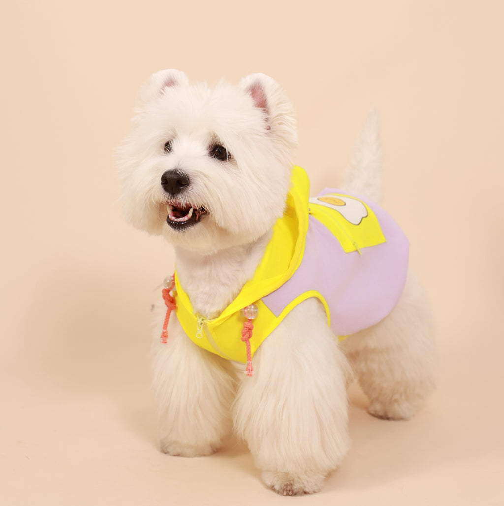 Dopamine Outdoor Sun-Protection Pet Hoodie