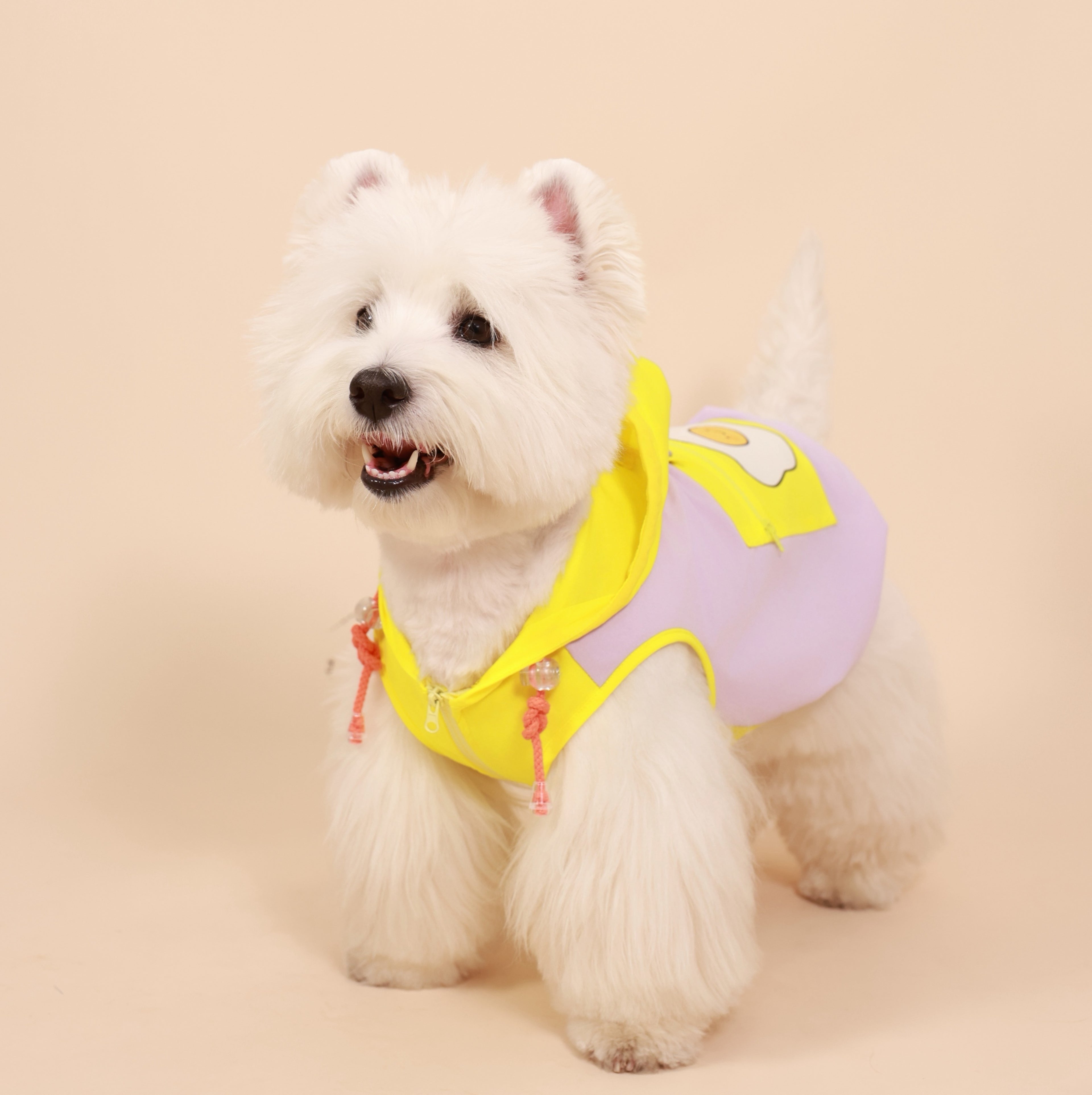 Dopamine Outdoor Sun-Protection Pet Hoodie