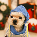 Striped Hooded Pet Sweatshirt