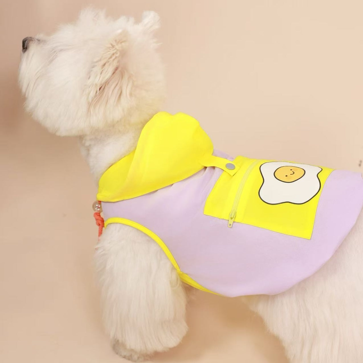 Dopamine Outdoor Sun-Protection Pet Hoodie