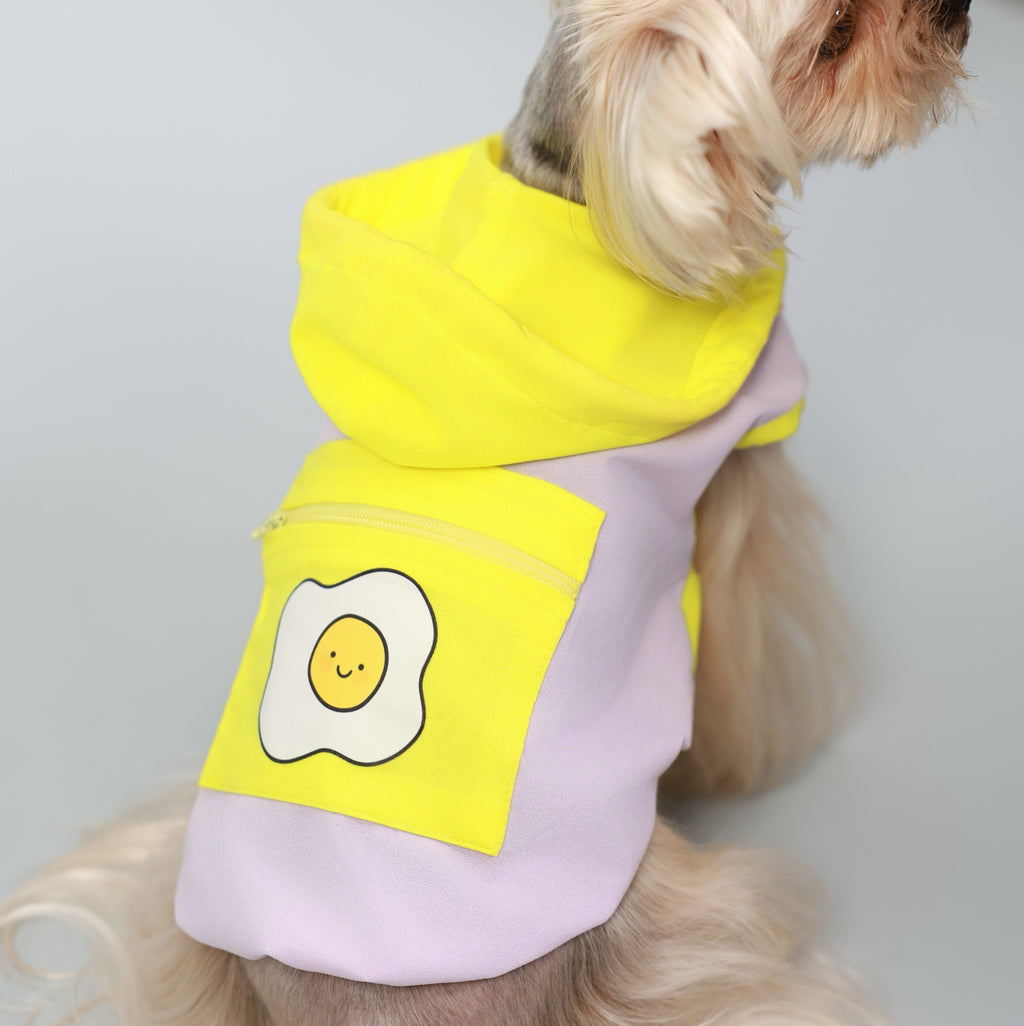 Dopamine Outdoor Sun-Protection Pet Hoodie