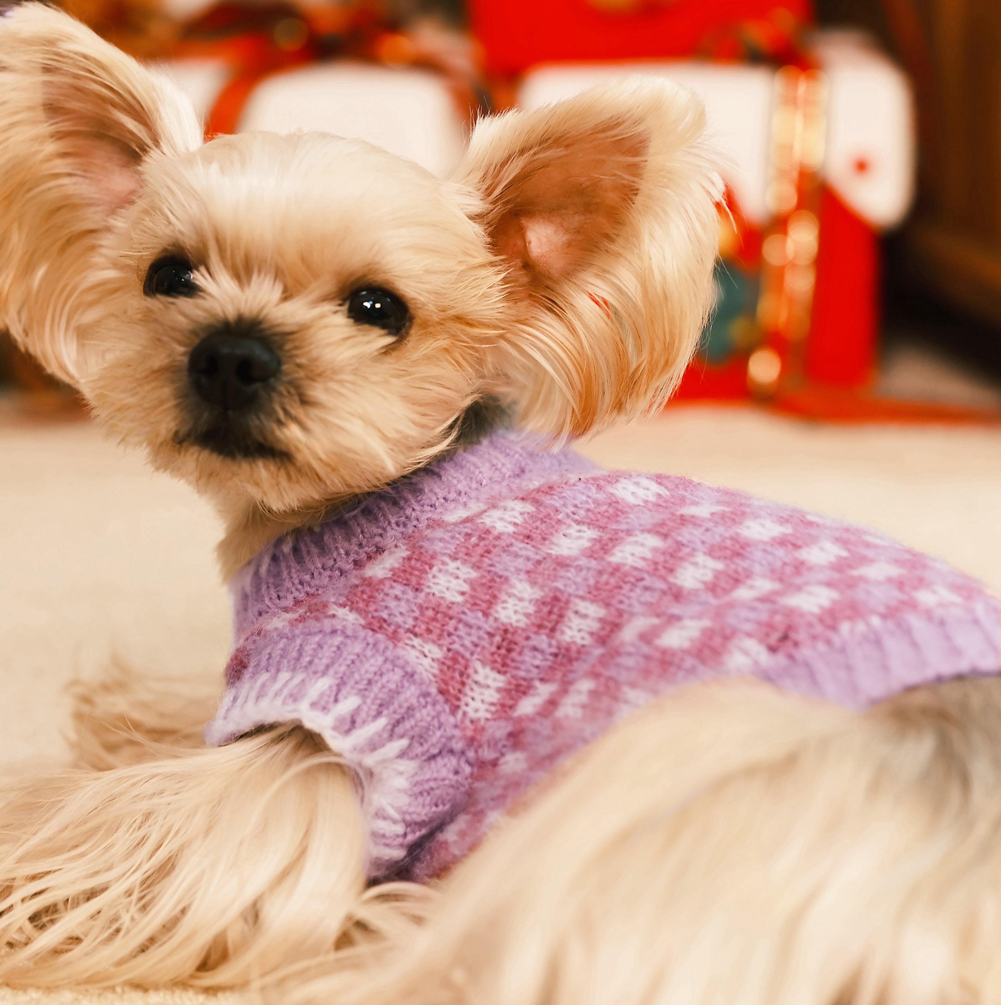 Mohair Checkerboard Pet Sweater for Cats & Small Dogs