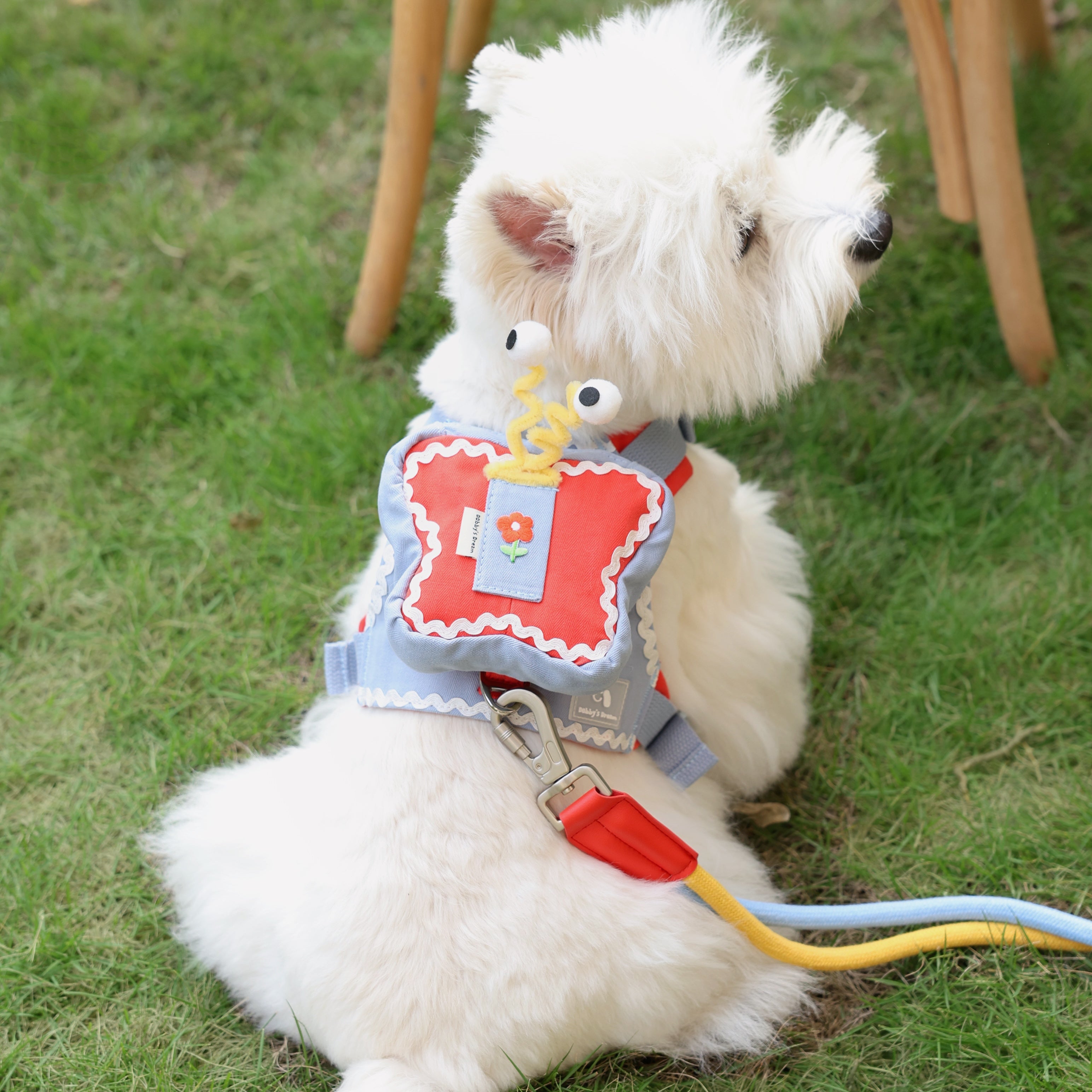 Adjustable Butterfly Pet Harness with Mini Backpack