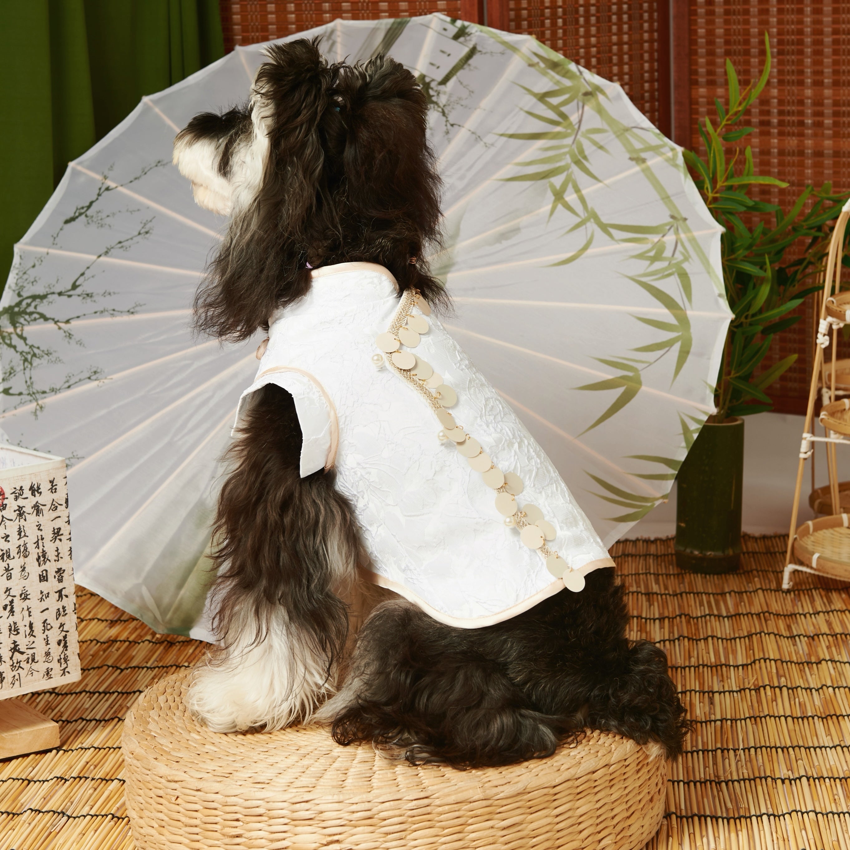 New Chinese Tang Pet Top – Brother Style