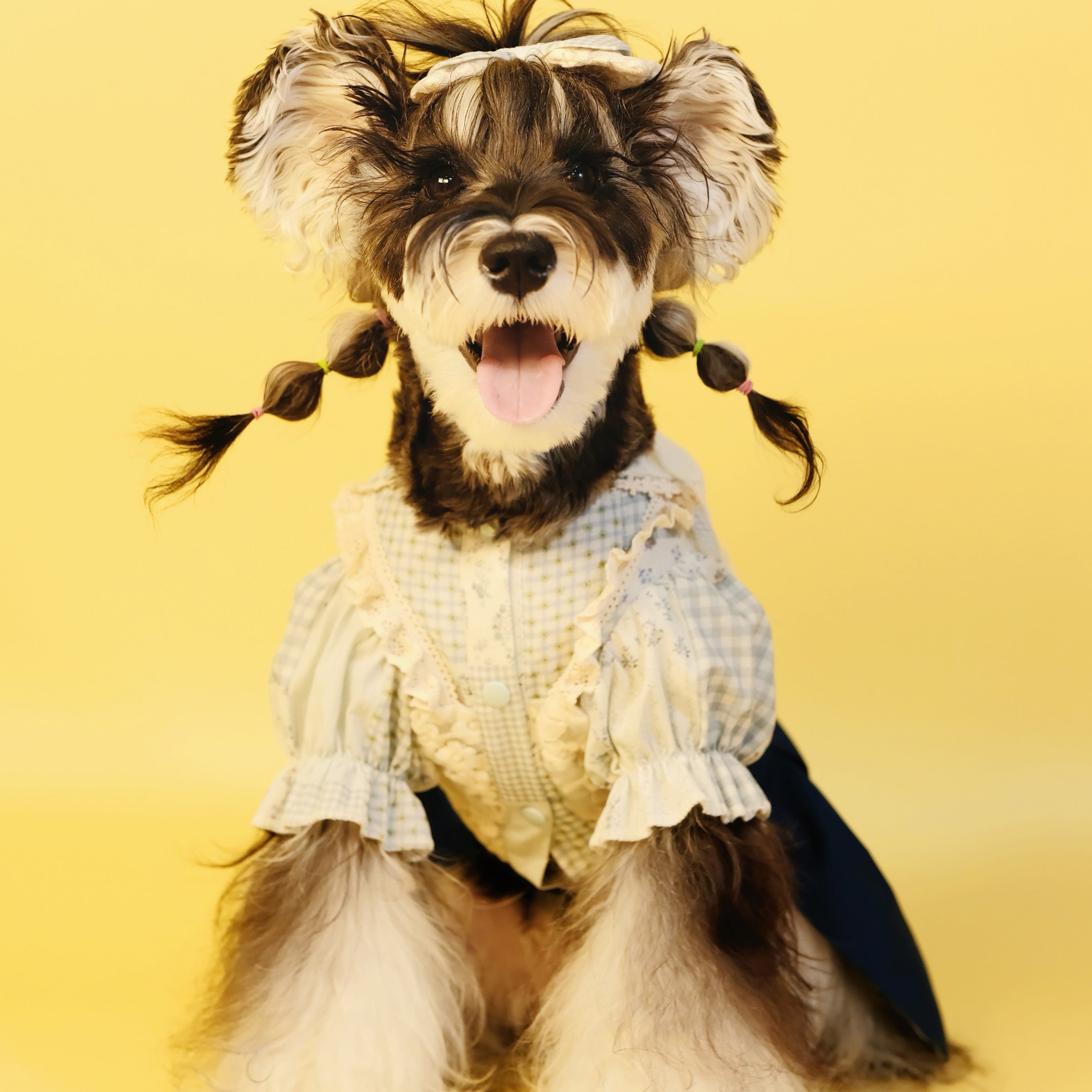 Early Spring Pet Shirt Dress for Small & Medium Dogs