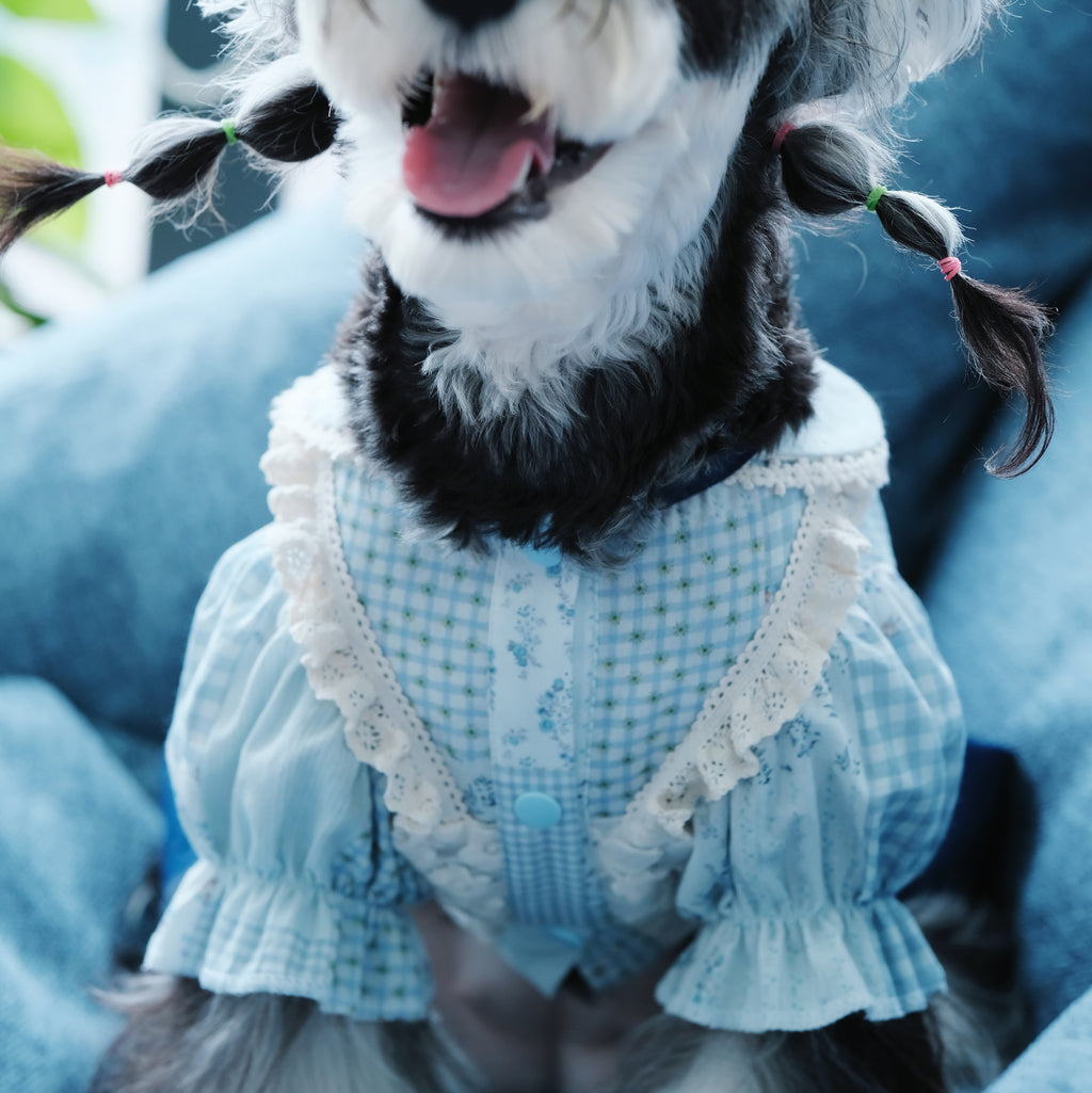 Early Spring Pet Shirt Dress for Small & Medium Dogs