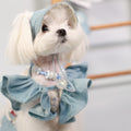 South of France Elegant Pet Holiday Dress – Sister Style