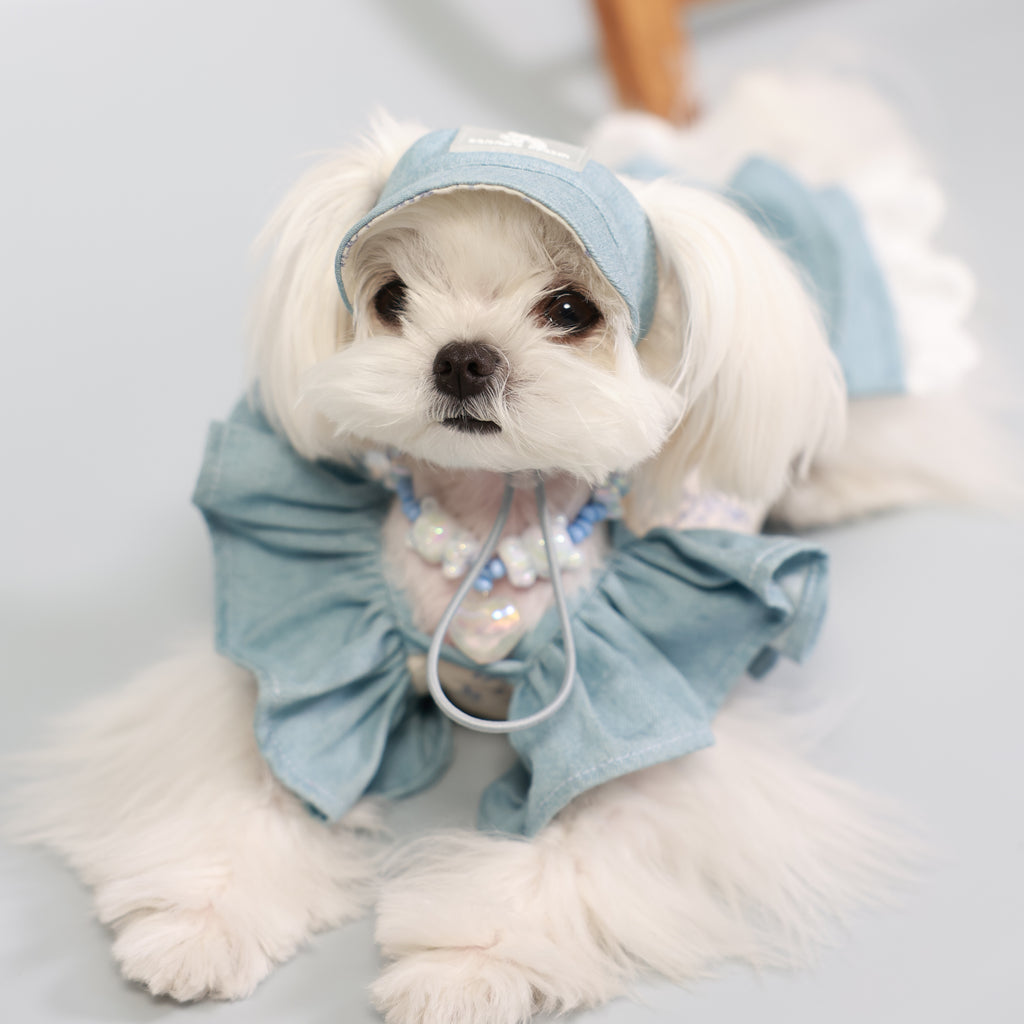 South of France Elegant Pet Holiday Dress – Sister Style