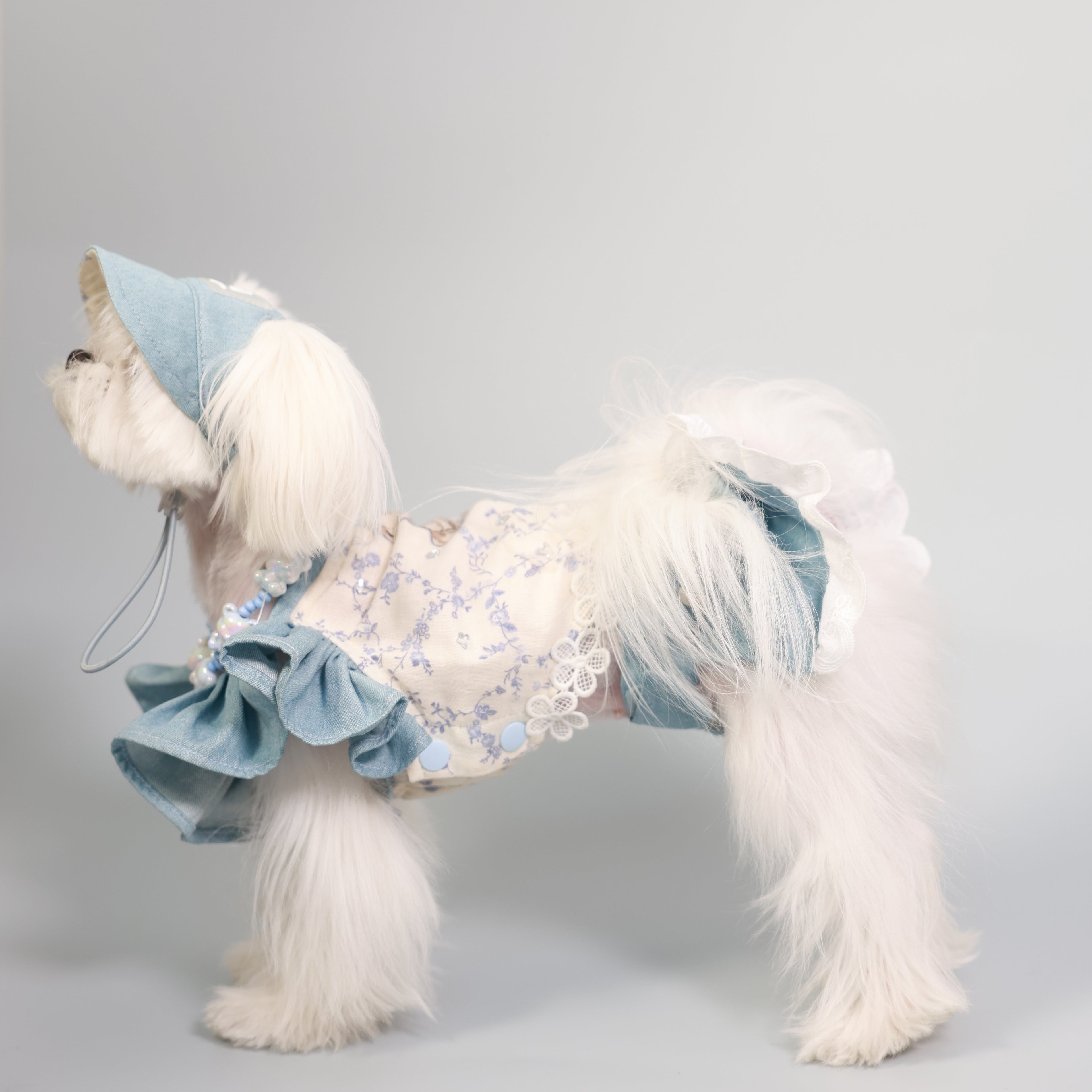 South of France Elegant Pet Holiday Dress – Sister Style