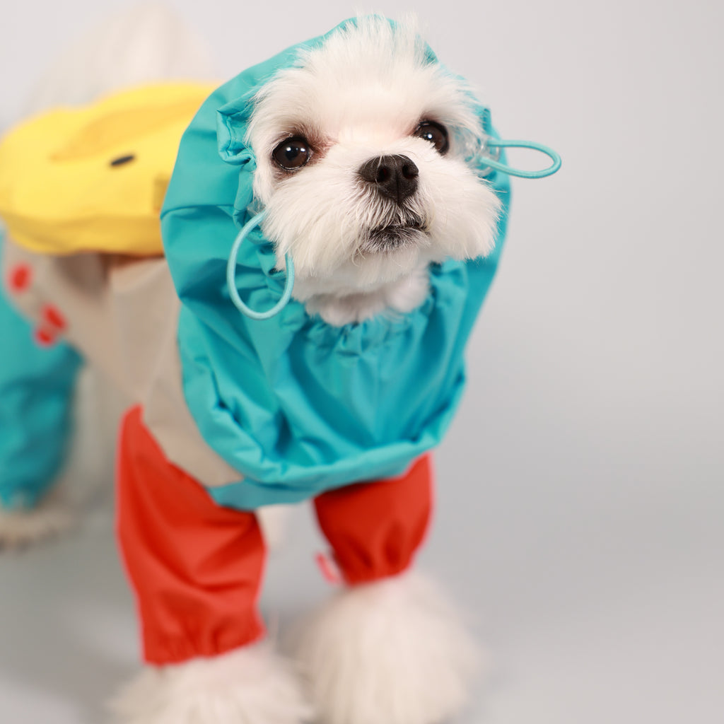 Full-Coverage Four-Leg Pet Raincoat with Removable Back Legs