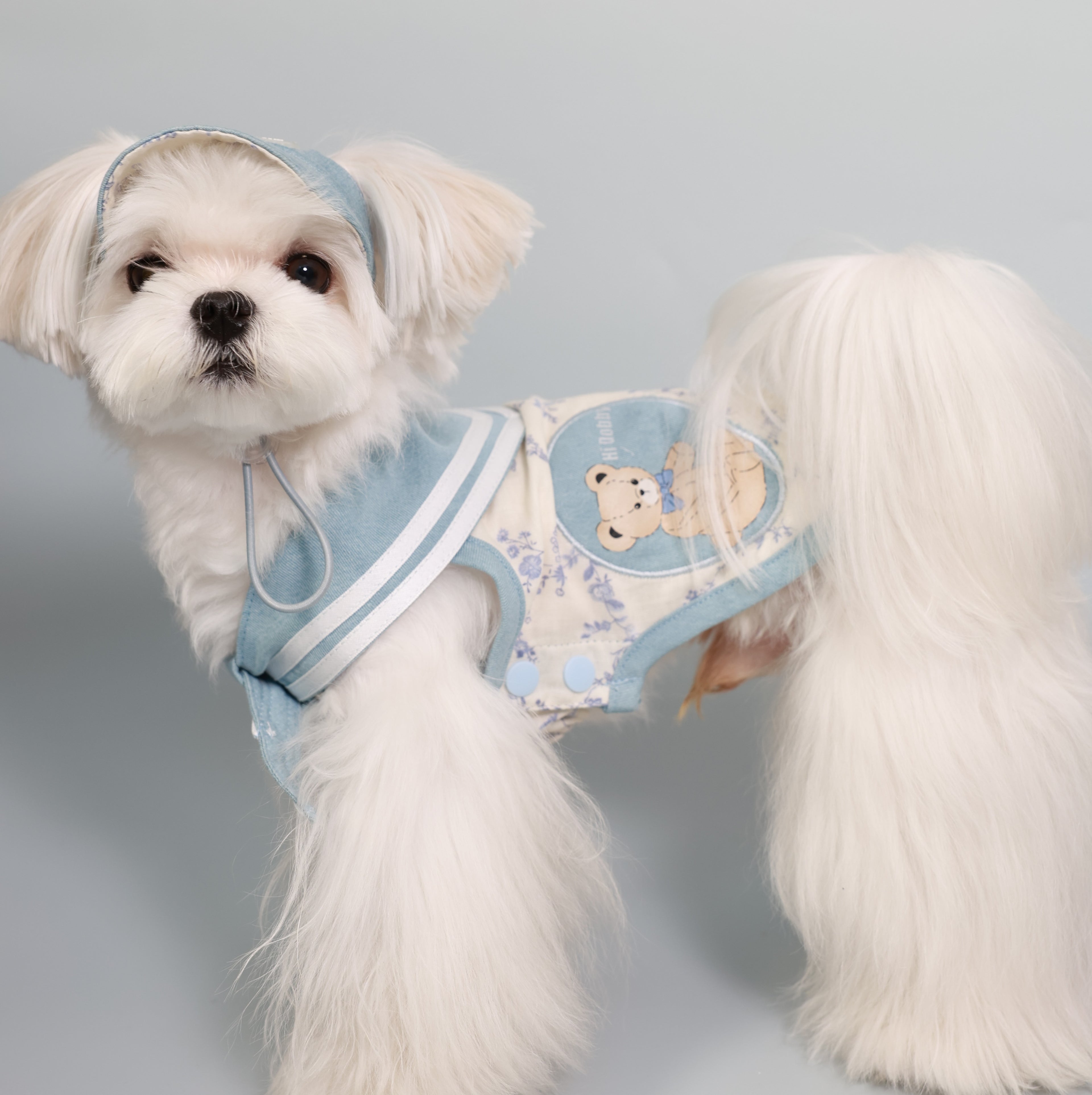 South of France Lightweight Pet Top – Brother Style