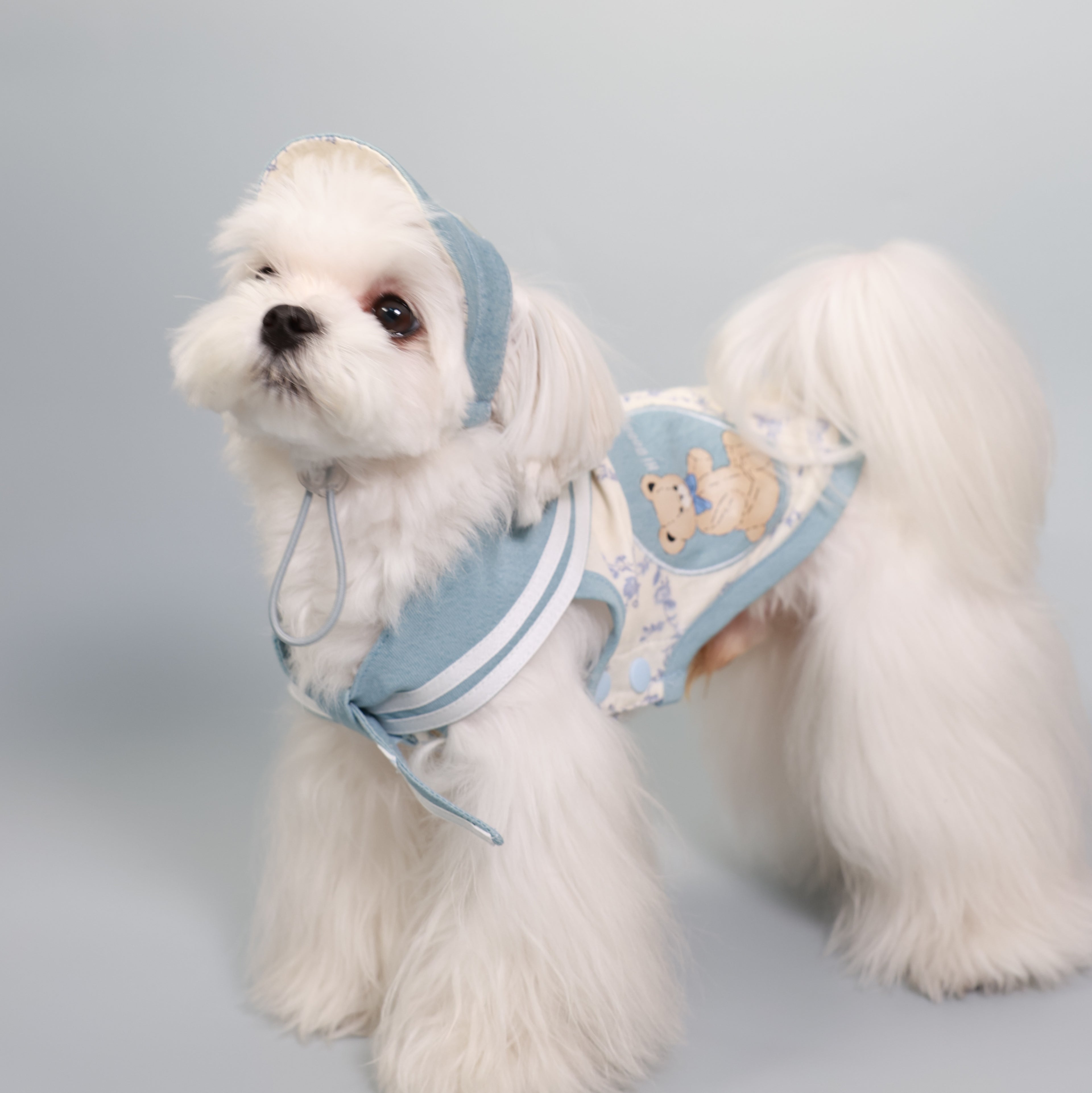 South of France Lightweight Pet Top – Brother Style
