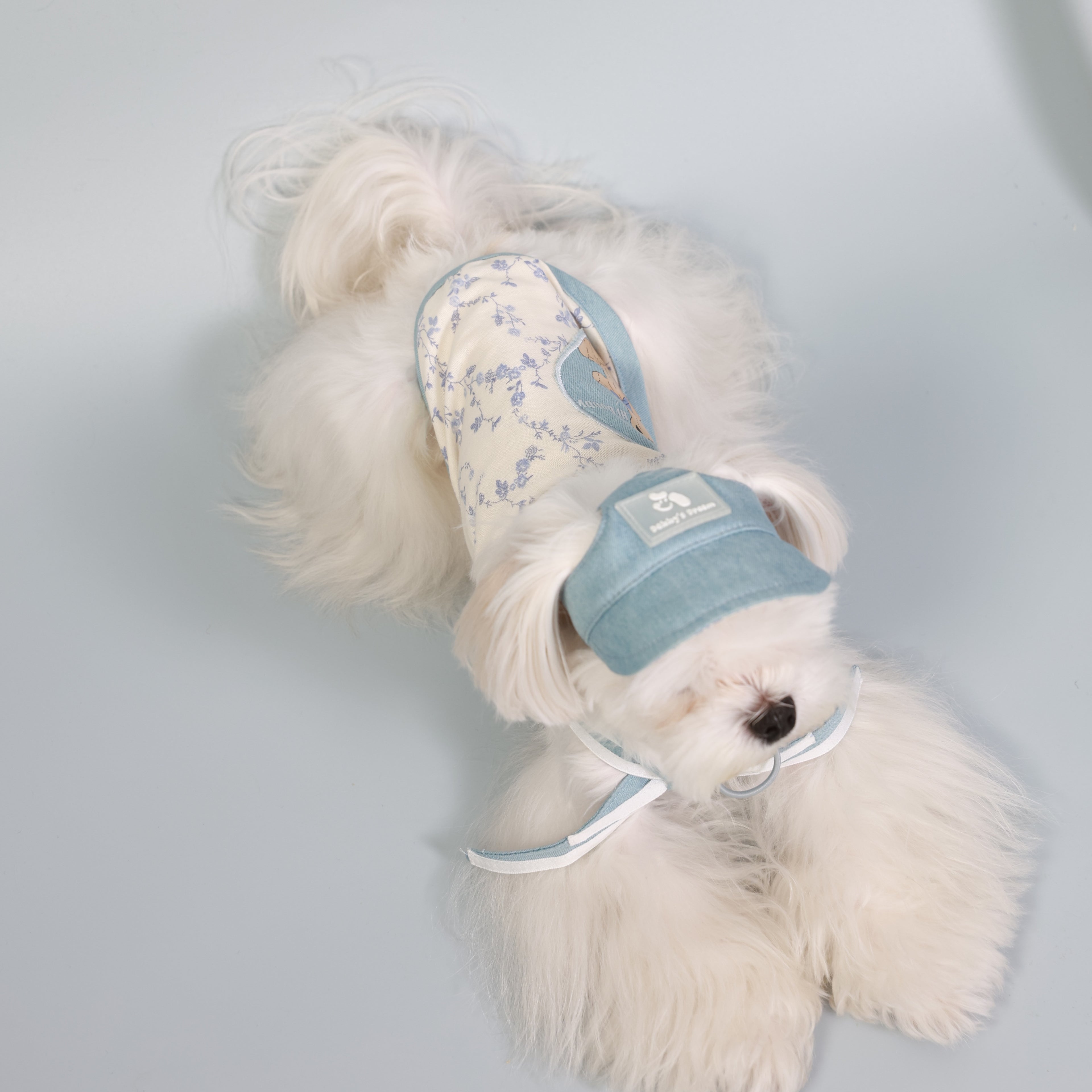 South of France Lightweight Pet Top – Brother Style