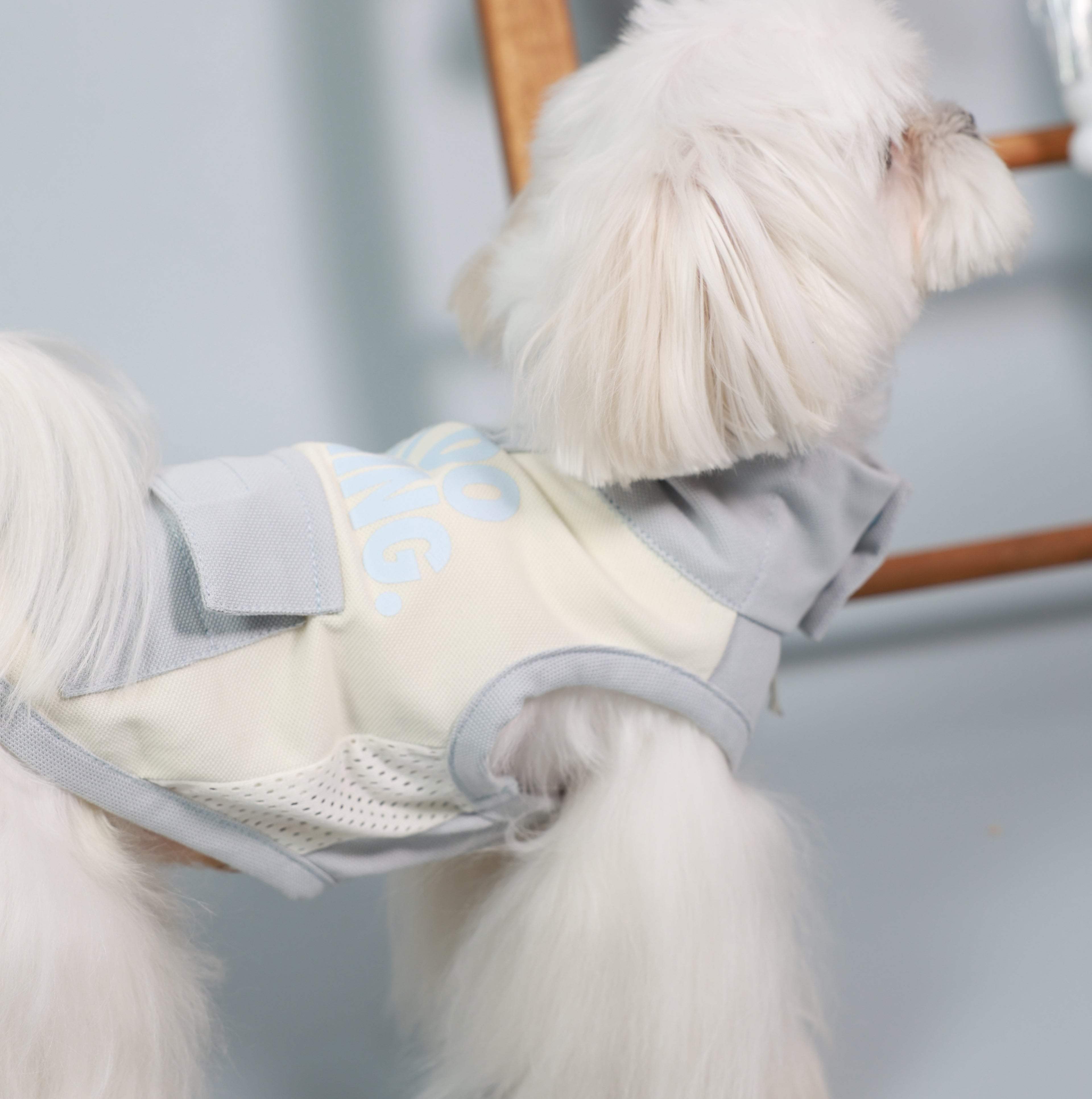 Insect-Repellent Cooling Pet Top with Leash Opening