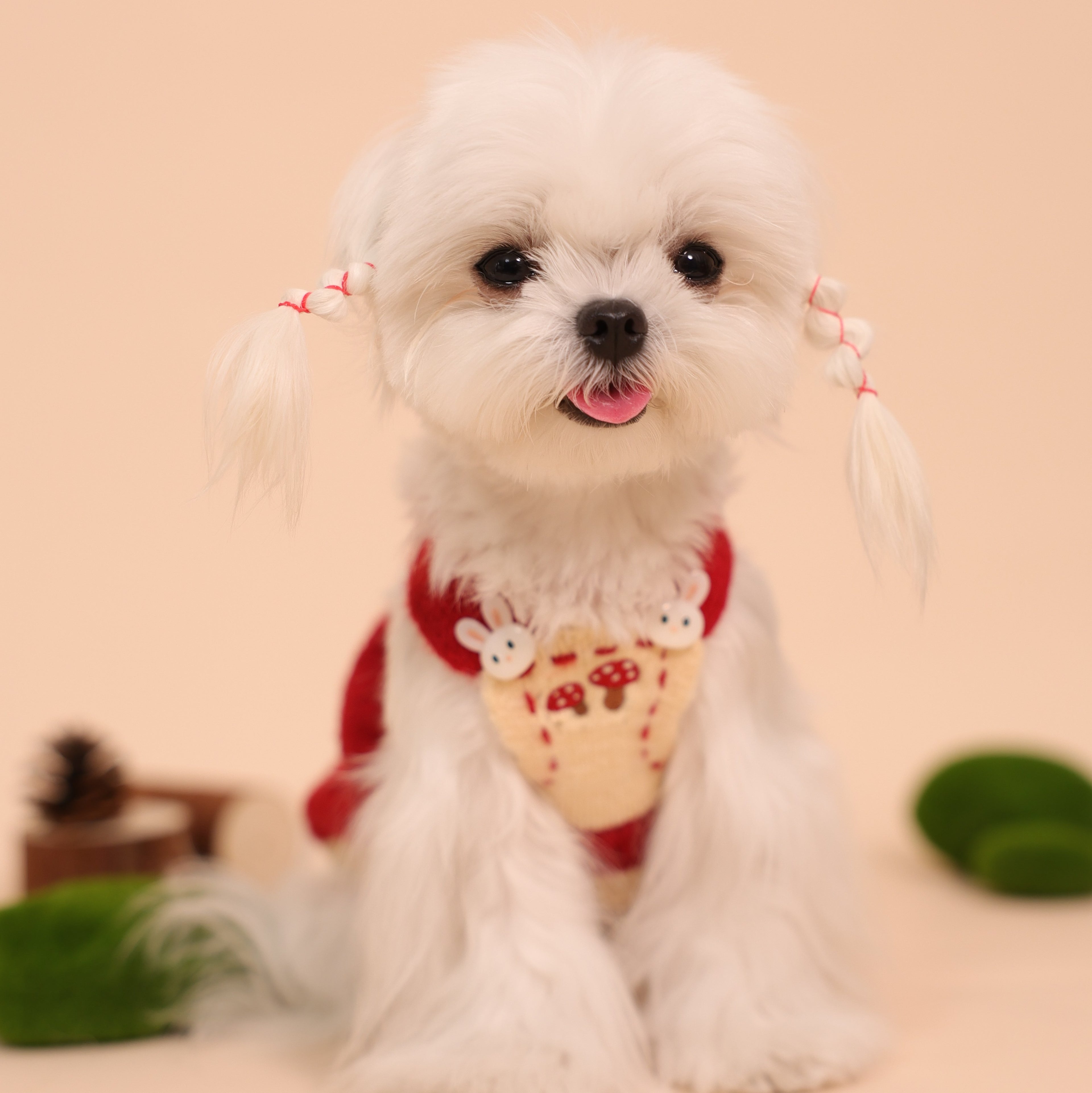 Mushroom House Lightweight Fleece Knit Pet Dress
