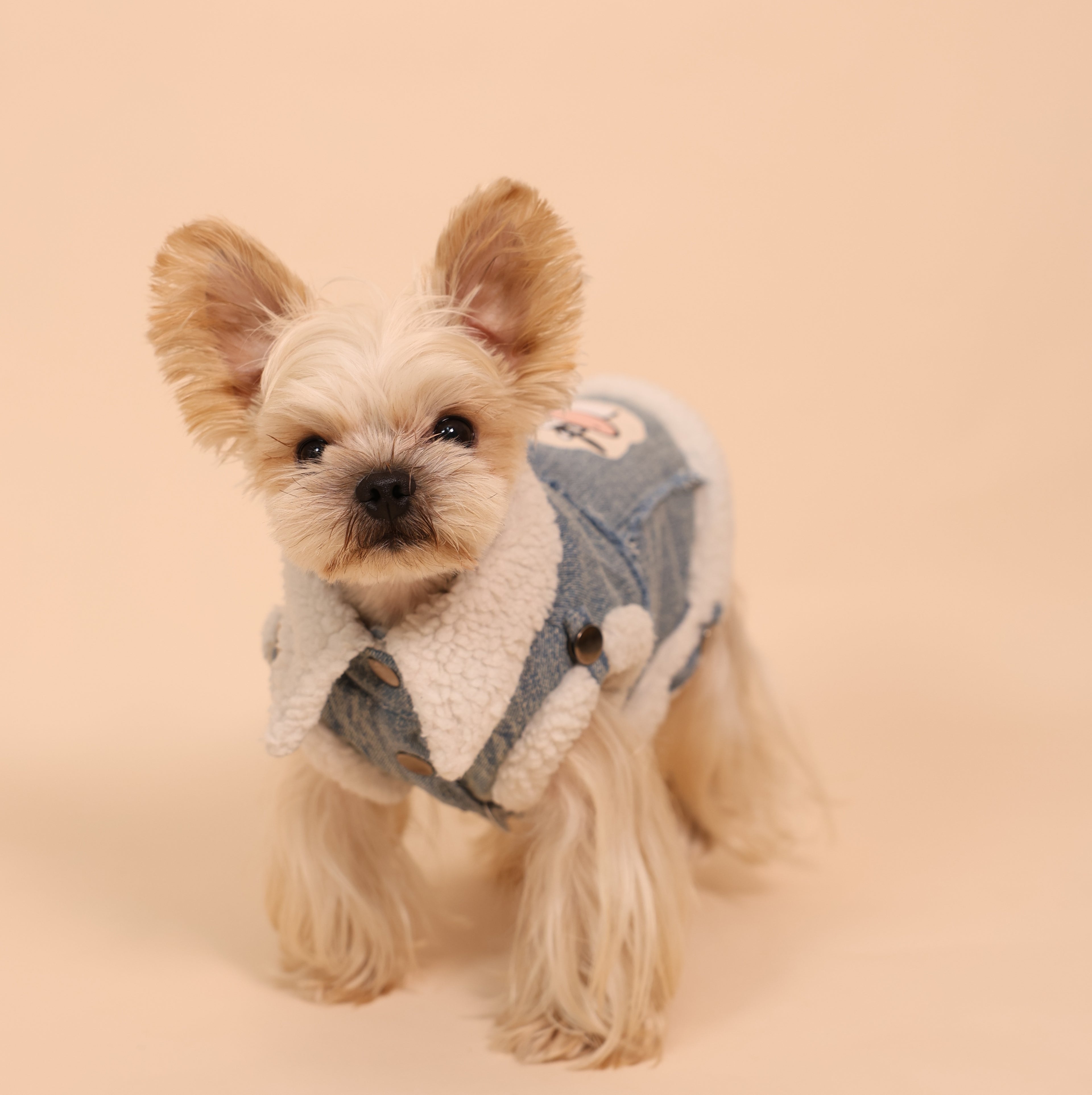 Busy Cowboy Sherpa-Lined Denim Pet Vest