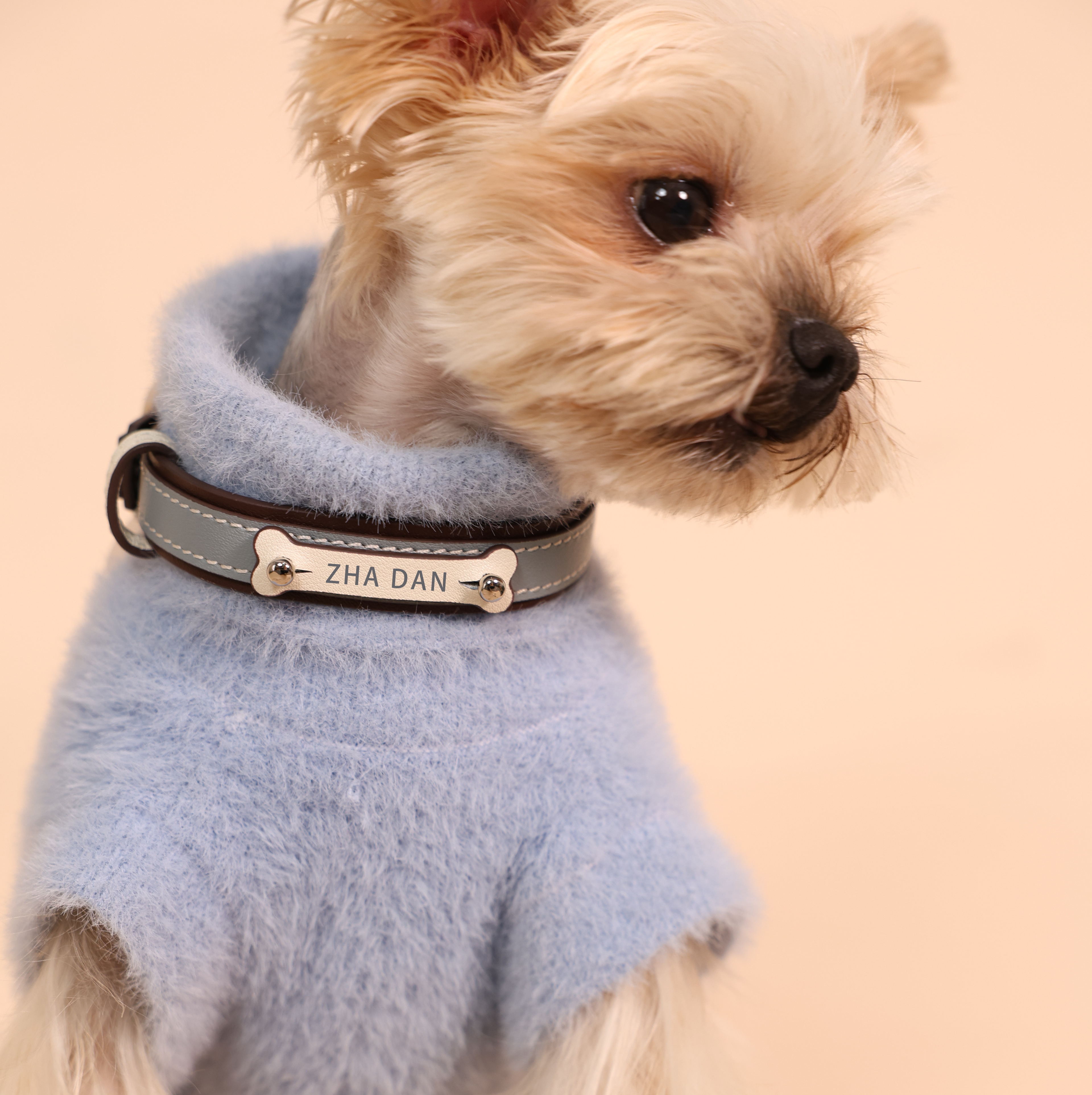 Palette Genuine Leather Custom Pet Collar