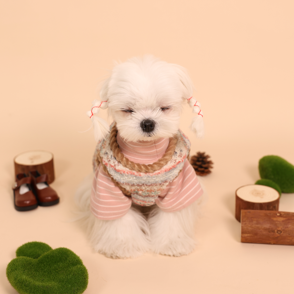 Forest Adventure Plush Fleece Bear Pet Vest