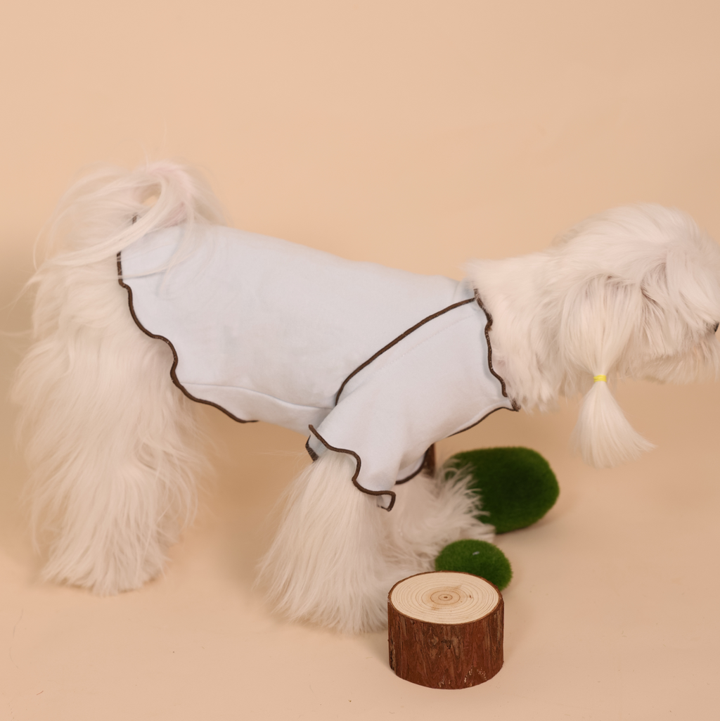 Edinburgh Magic British Plaid Pet Dress & Beret Set
