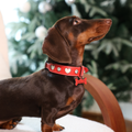 Heartbeat Gift Genuine Leather Custom Pet Collar