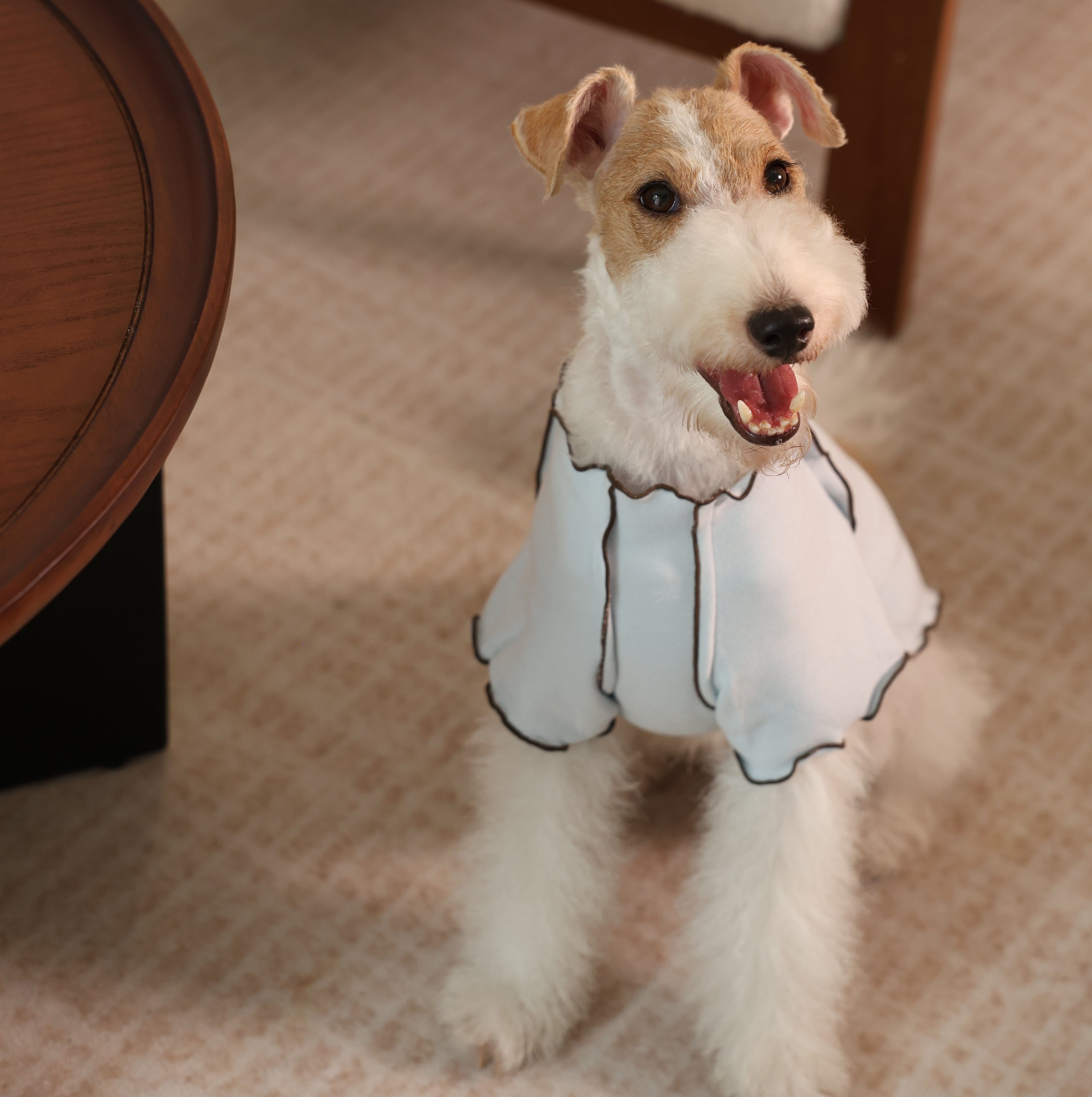 Edinburgh Magic British Plaid Pet Dress & Beret Set
