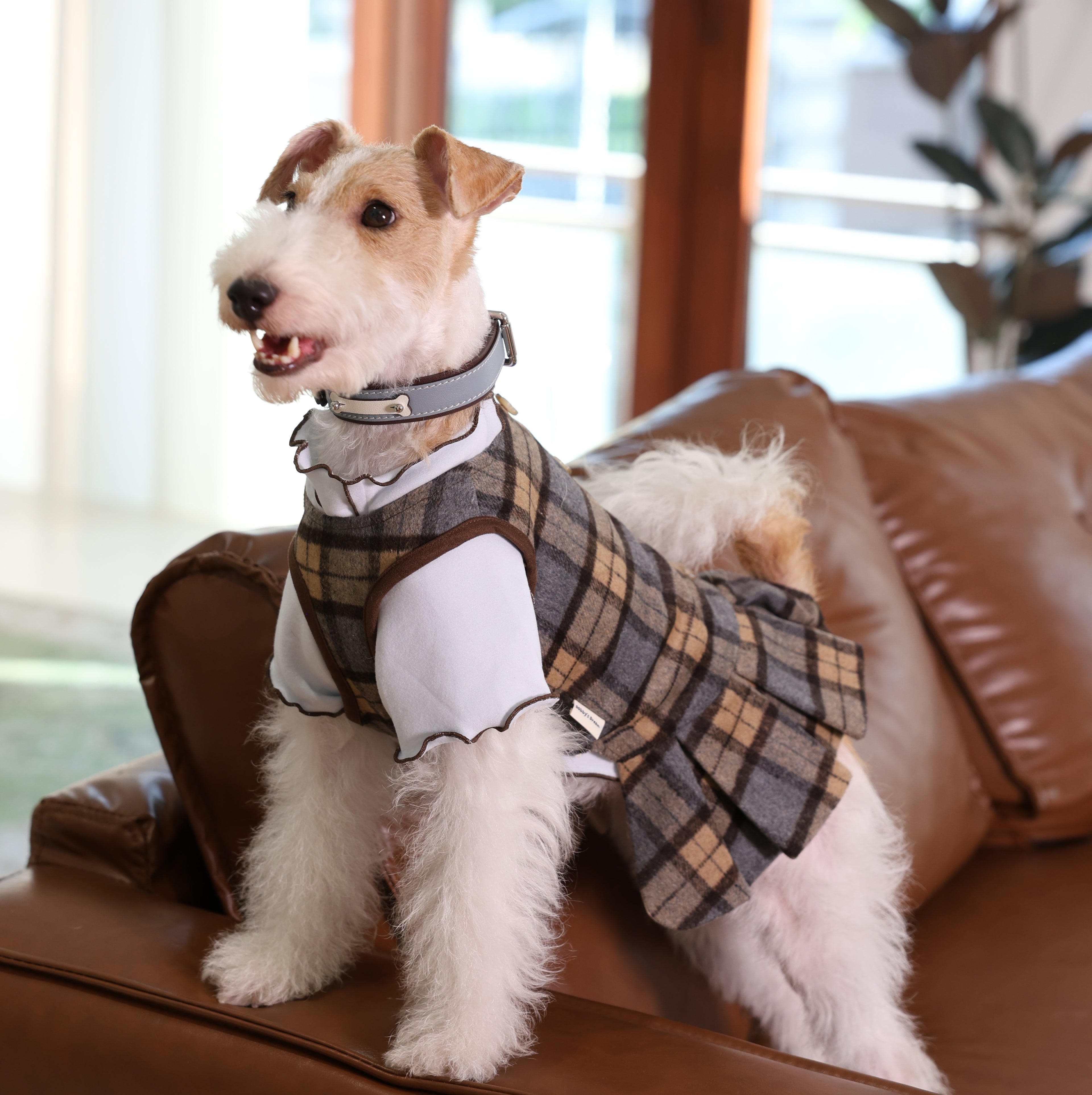 Edinburgh Magic British Plaid Pet Dress & Beret Set