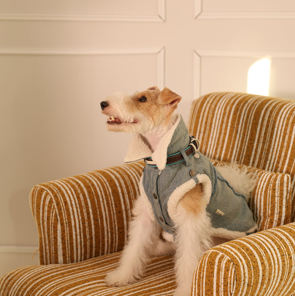 Busy Cowboy Sherpa-Lined Denim Pet Vest
