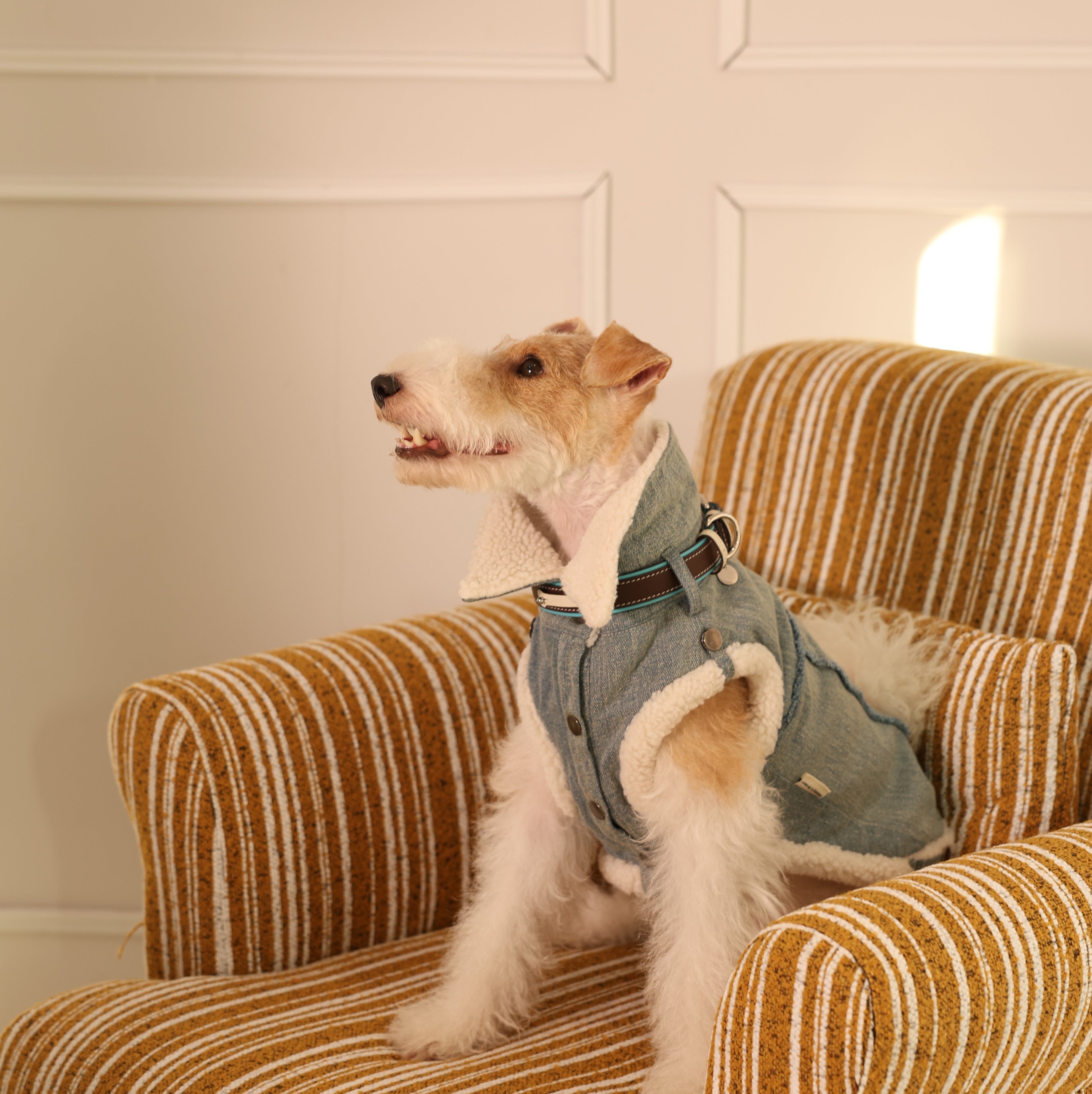 Busy Cowboy Sherpa-Lined Denim Pet Vest