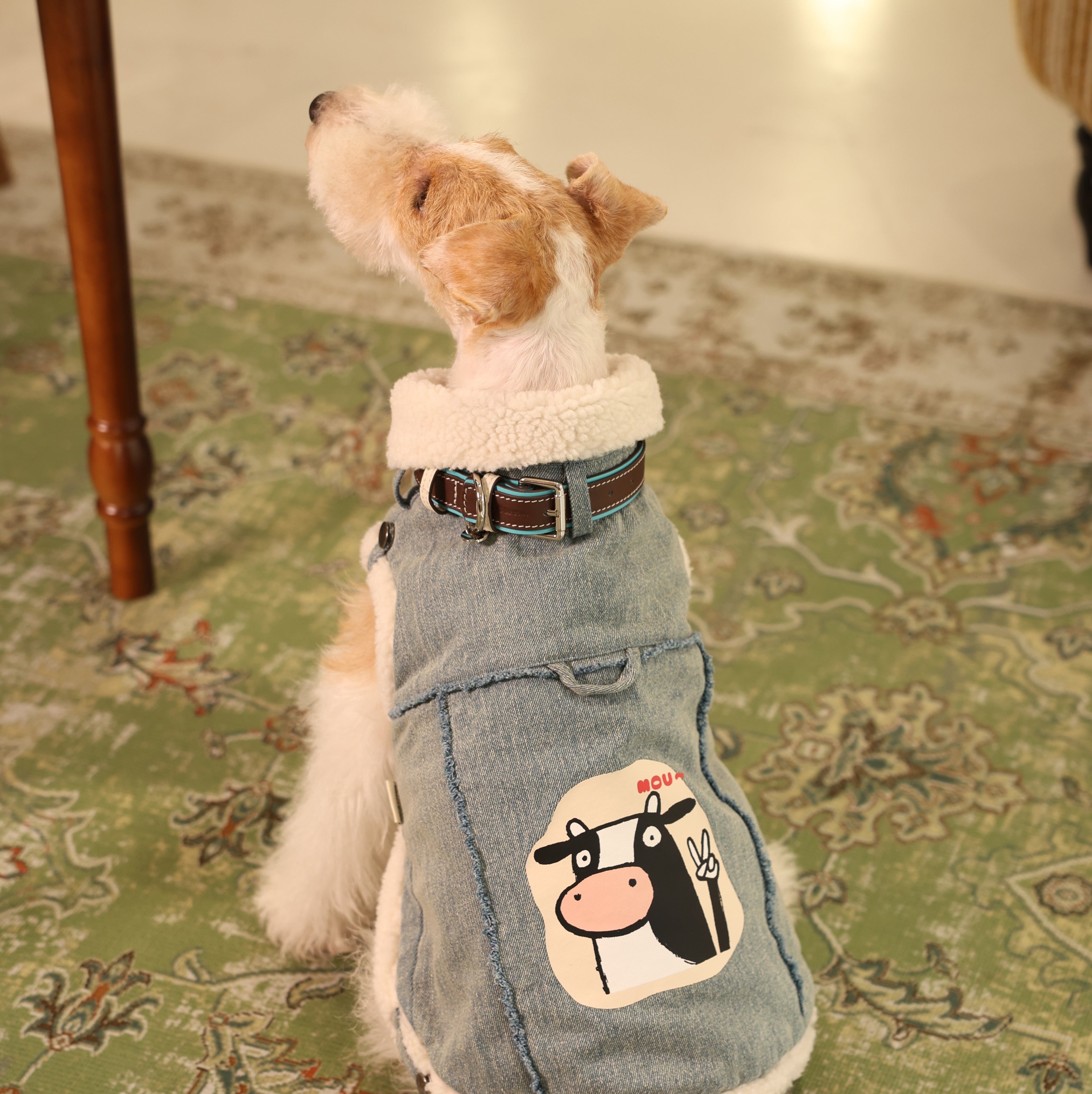 Busy Cowboy Sherpa-Lined Denim Pet Vest