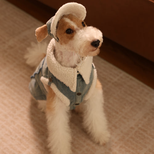 Busy Cowboy Sherpa-Lined Denim Pet Vest