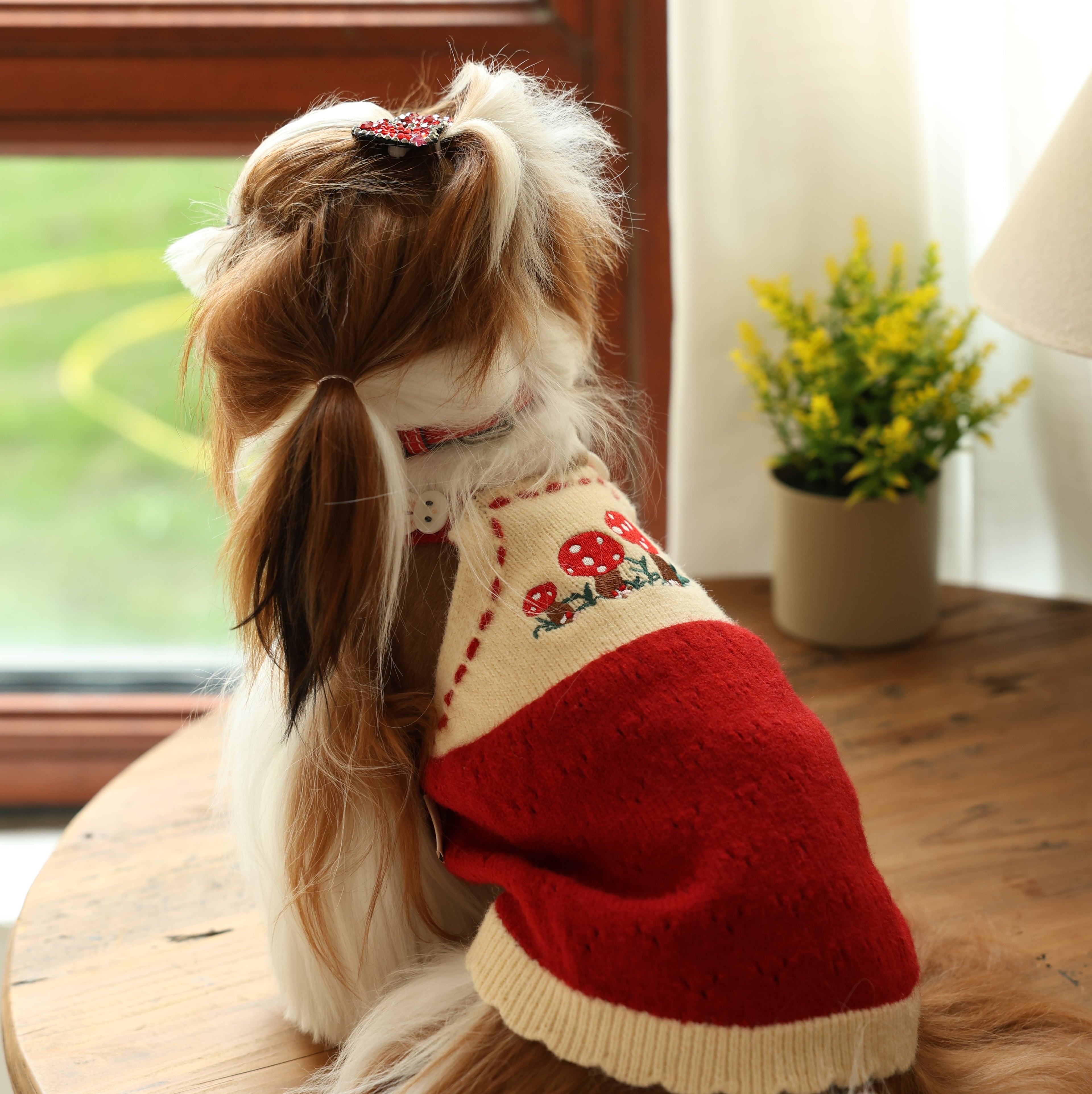 Mushroom House Lightweight Fleece Knit Pet Dress
