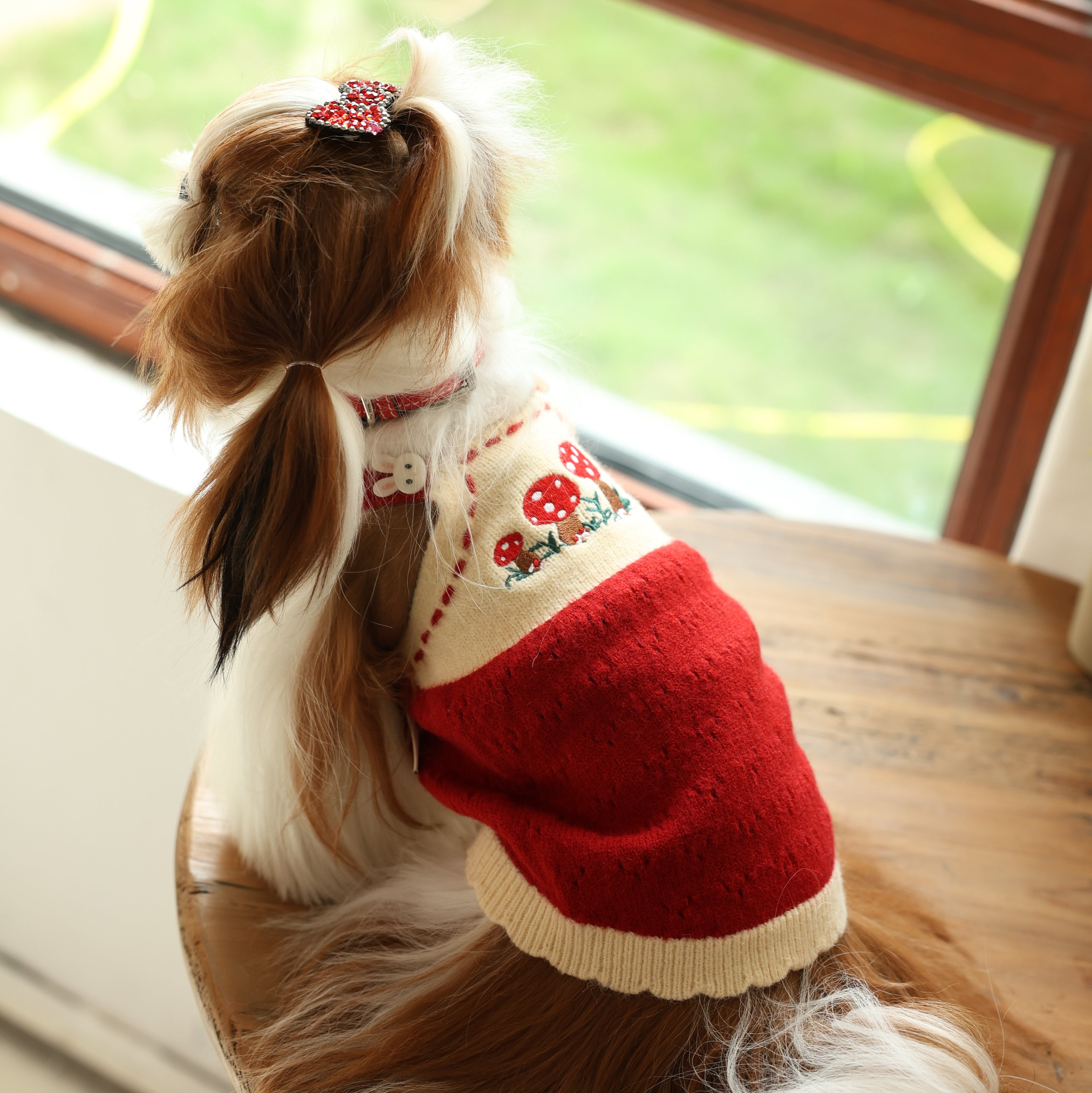 Mushroom House Lightweight Fleece Knit Pet Dress