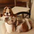 British Trench-Style Pet Coat with Leash Ring