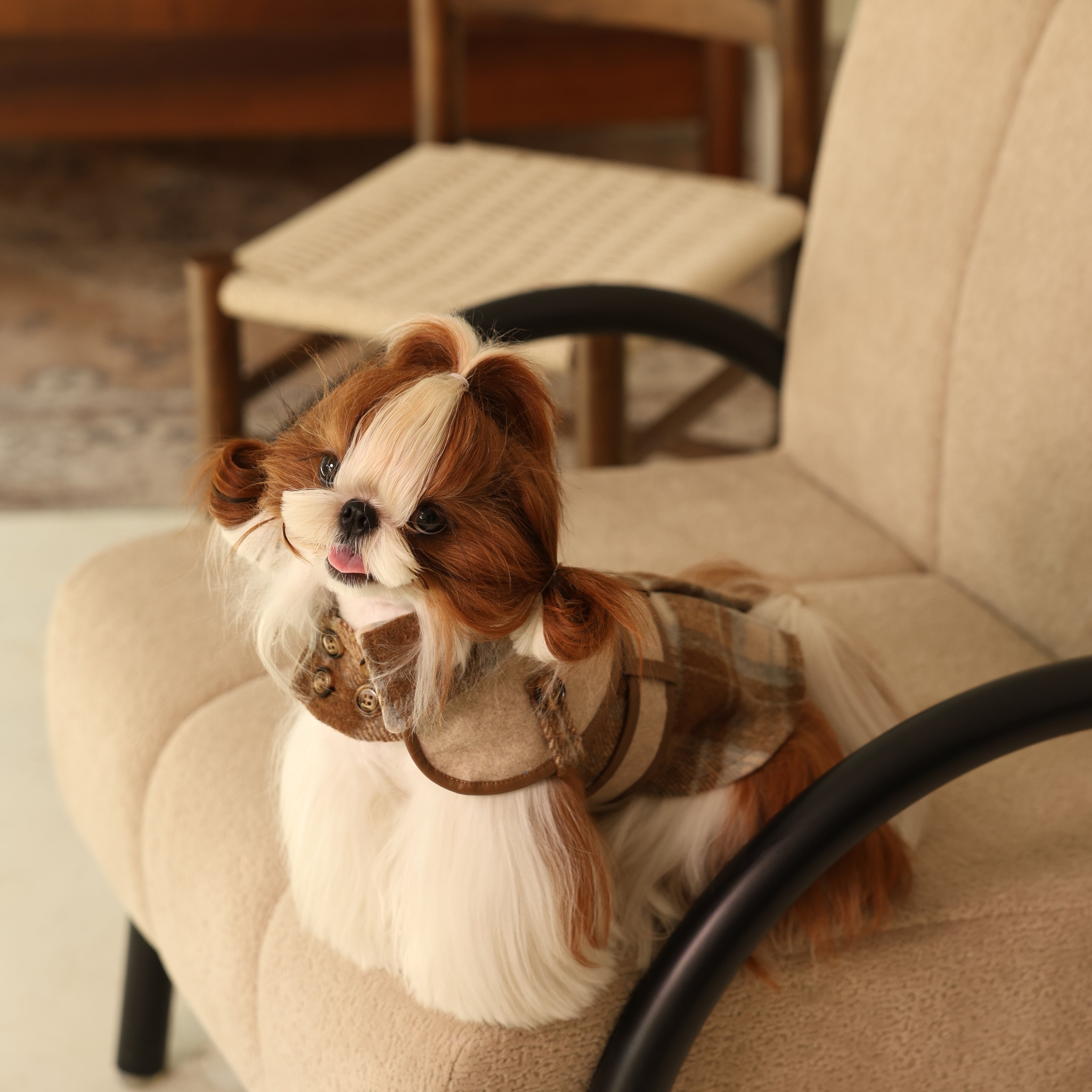 British Trench-Style Pet Coat with Leash Ring