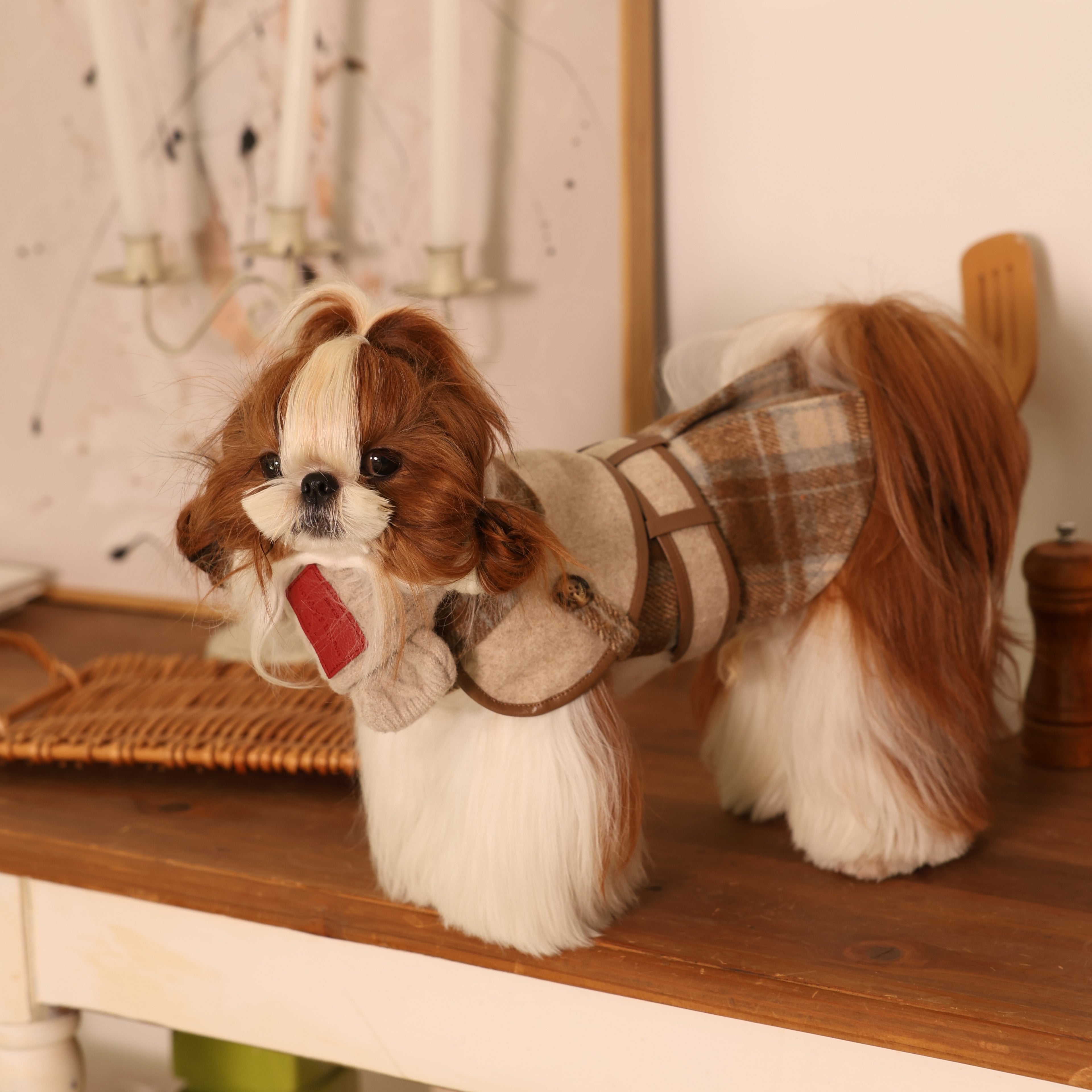 British Trench-Style Pet Coat with Leash Ring