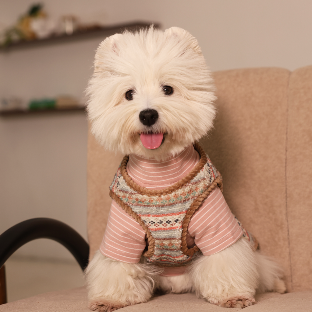 Forest Adventure Plush Fleece Bear Pet Vest