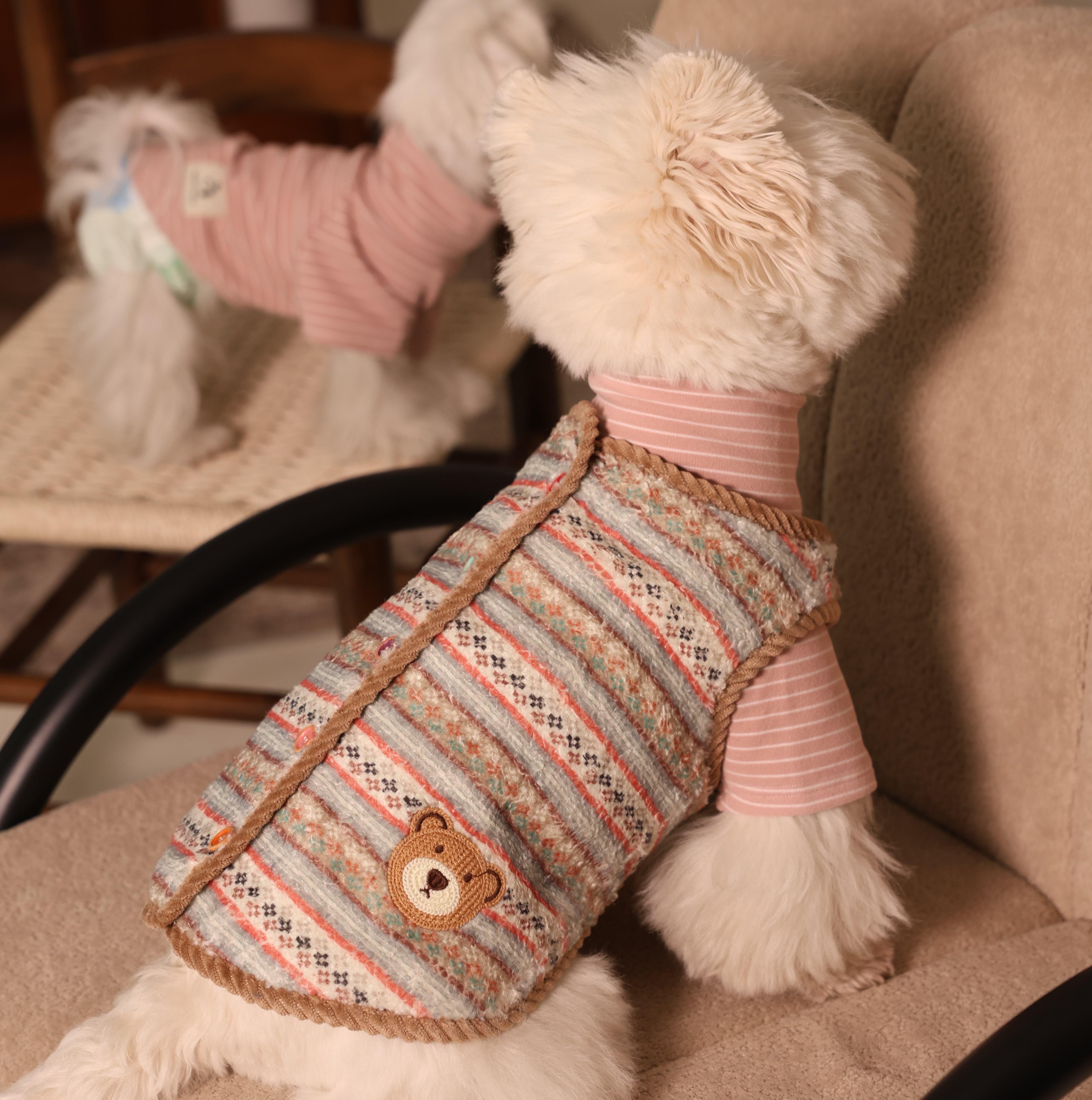 Forest Adventure Plush Fleece Bear Pet Vest