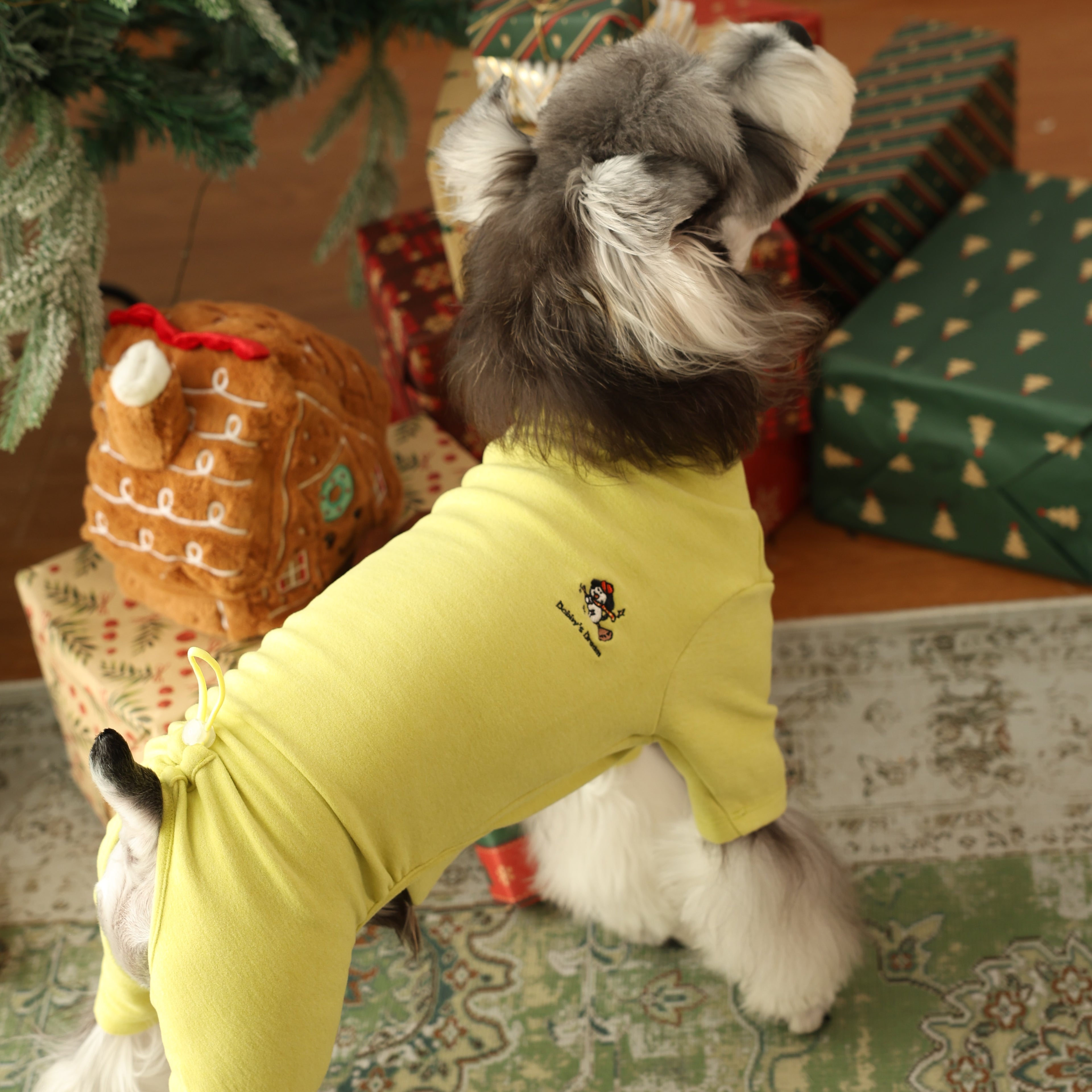 Warm Four-Leg Pet Base Layer Homewear