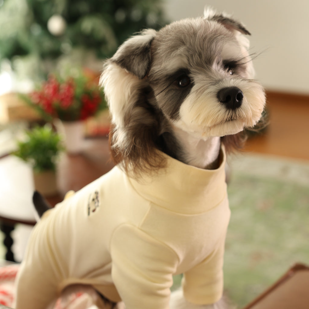 Warm Four-Leg Pet Base Layer Homewear
