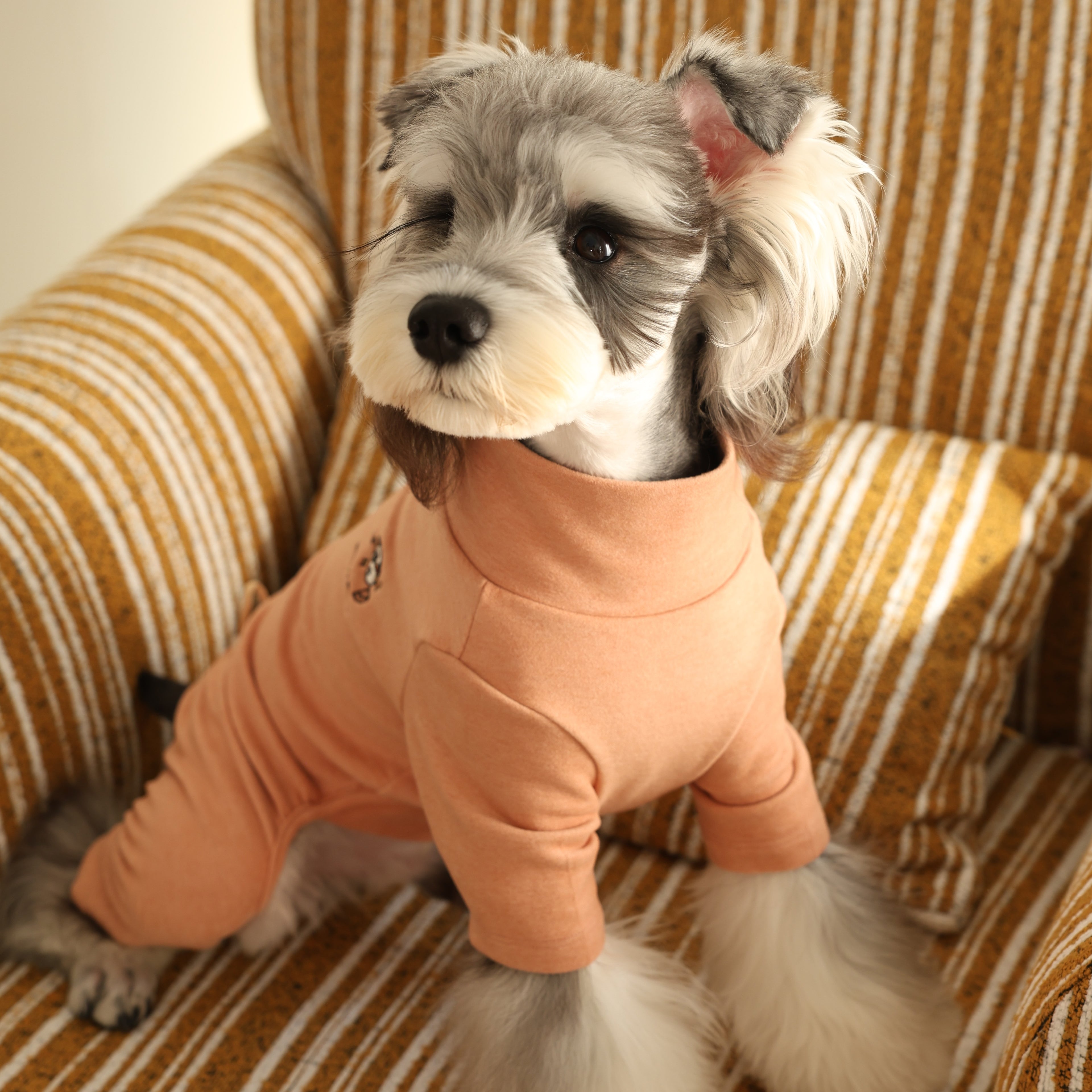 Warm Four-Leg Pet Base Layer Homewear