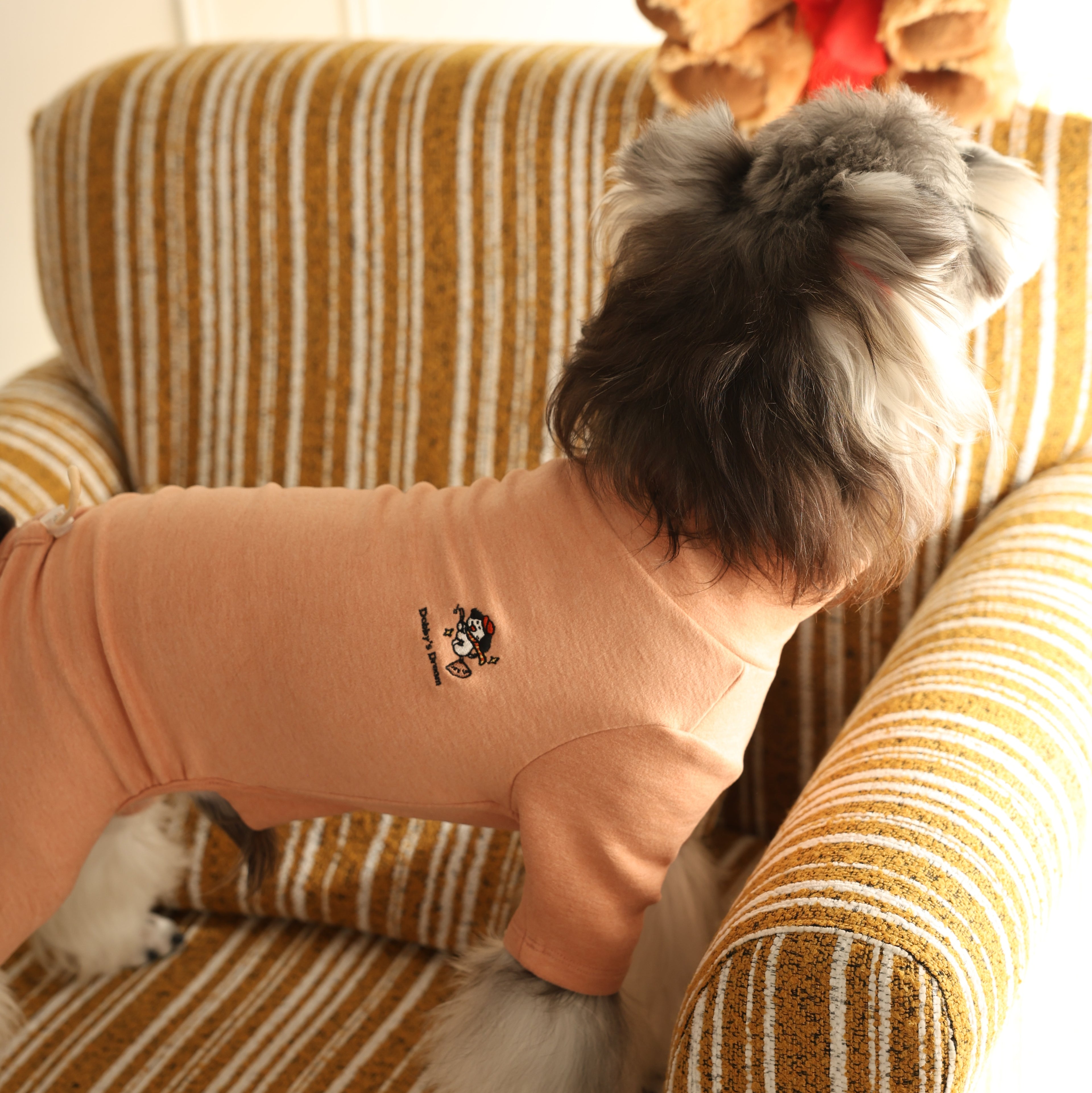 Warm Four-Leg Pet Base Layer Homewear