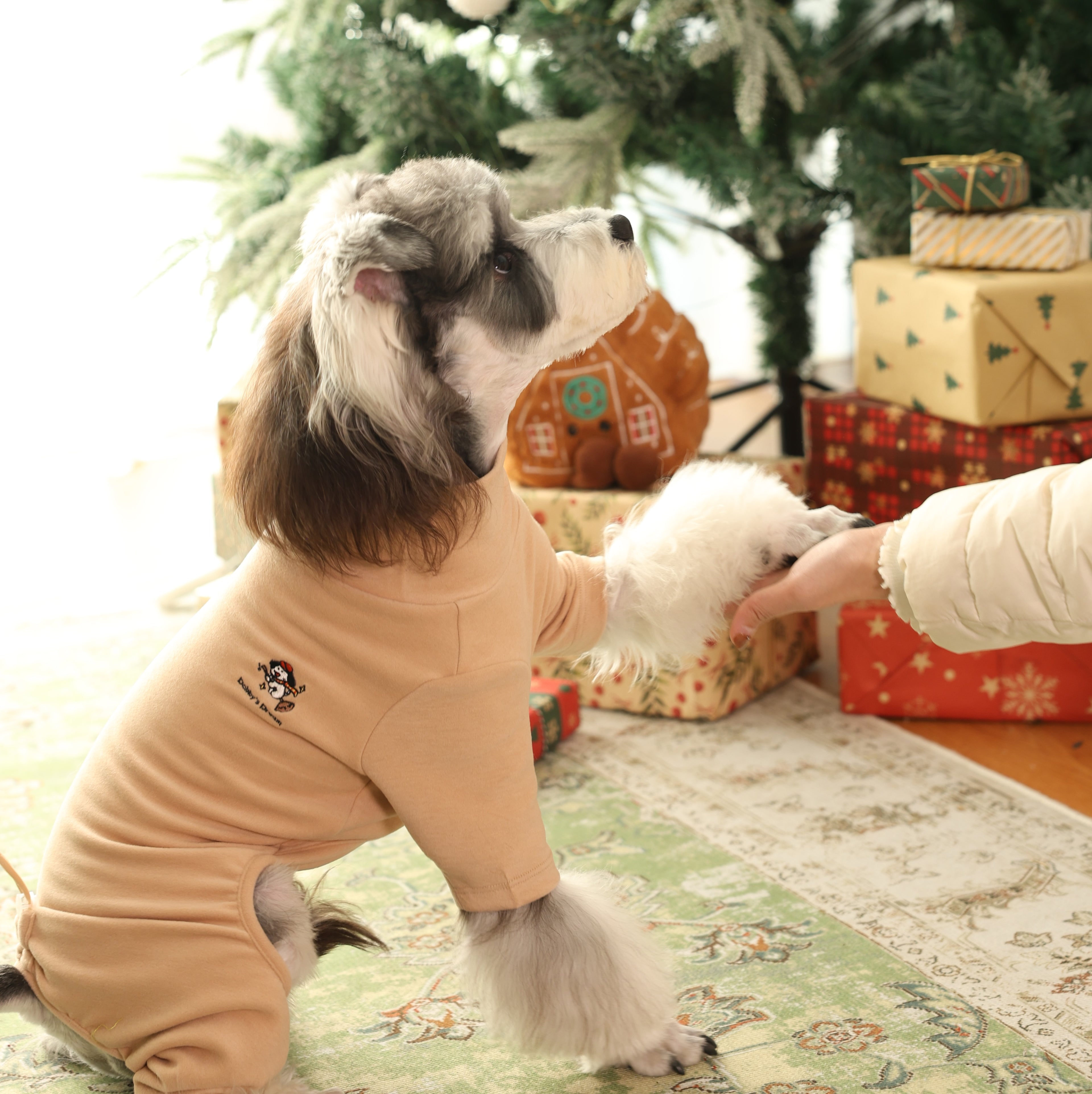 Warm Four-Leg Pet Base Layer Homewear