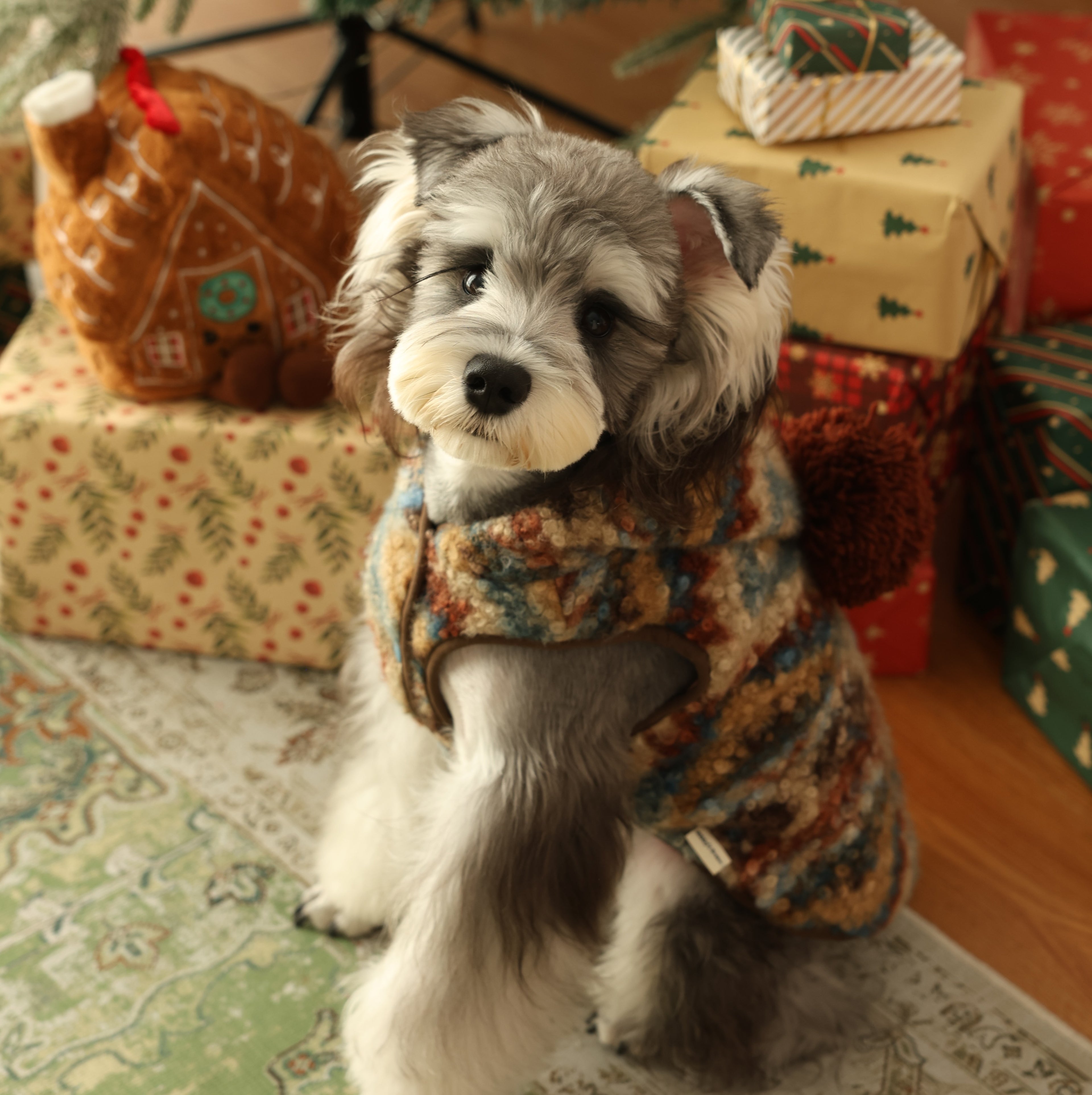 Star Wish Elf Padded Fleece Christmas Pet Vest